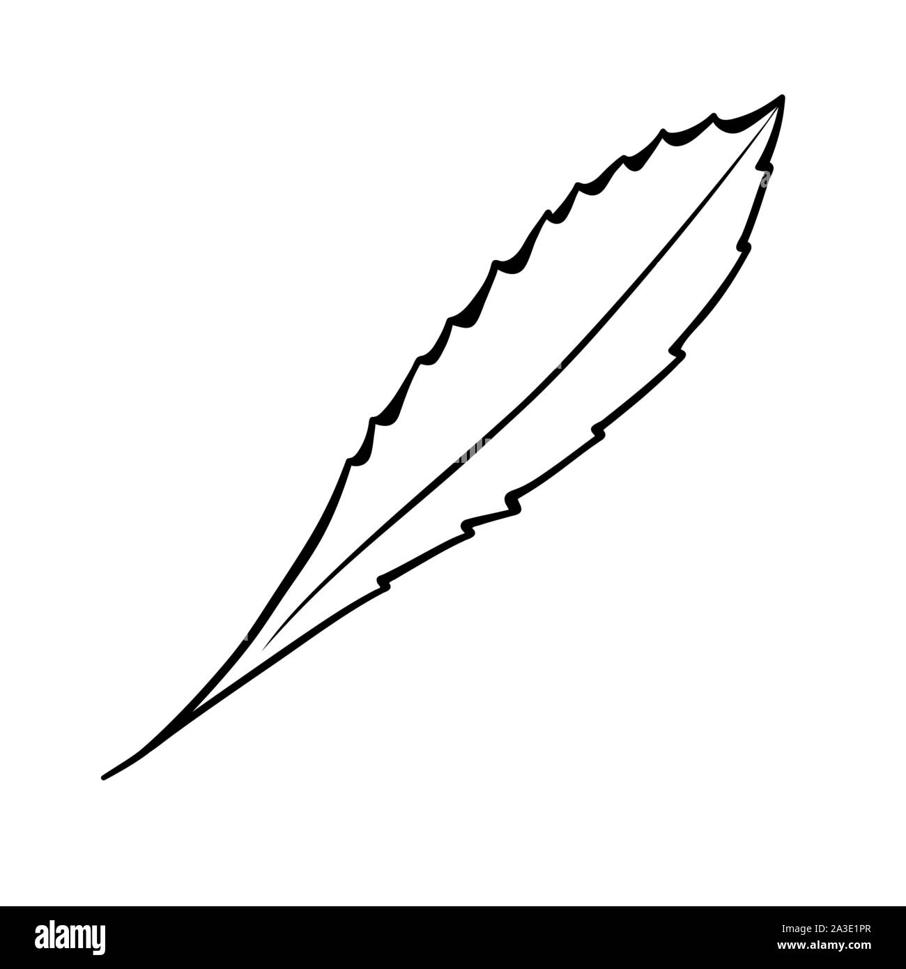 Feuille d'arbre hand drawn vector illustration. Coloriage antistress photo, les enfants coloriages de l'élément de conception. La flore de la forêt, de l'écologie, l'environnement naturel symbole contour isolé sur fond blanc Illustration de Vecteur