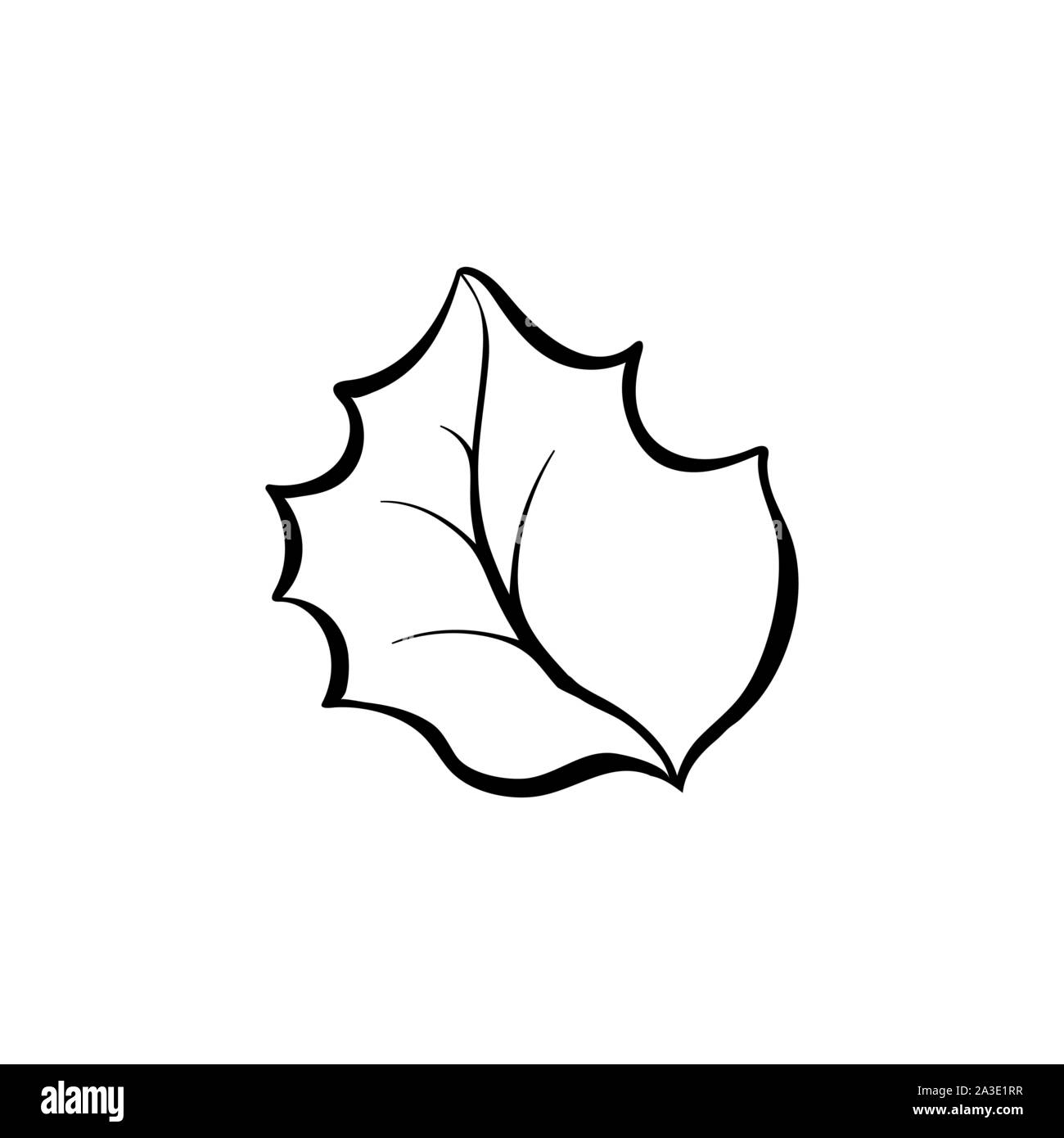 Des feuilles des plantes de Noël illustration dessiné à la main. La flore de la forêt d'hiver, la coloration du feuillage arbuste photo. Vacances de Décembre, Noël symbole monochrome. Herbier naturel élément décoratif Illustration de Vecteur
