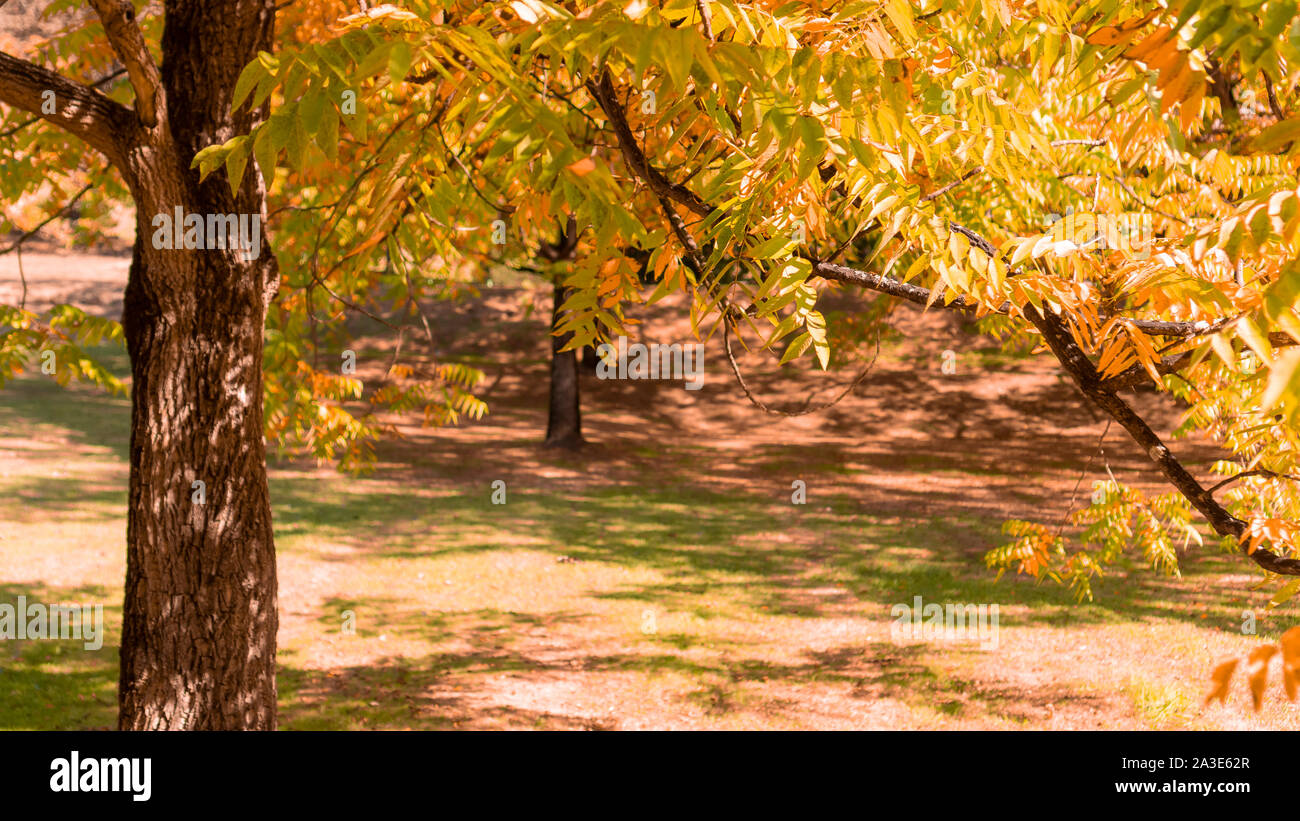 Paysage Apaisant Banque D Image Et Photos Alamy Paysage Apaisant Banque D Image Et Photos Alamy