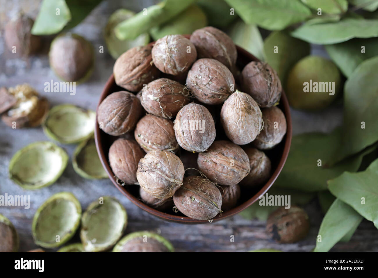 Noix fraîchement dans un bol. La récolte des noix. Noix de coquilles vertes pelées. Les feuilles de la noyer. Banque D'Images