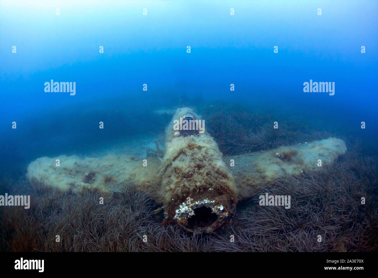 Avion de chasse américain épave Thunderbolt P47 de la 2e guerre mondiale, photo sous-marine, Corse, France Banque D'Images