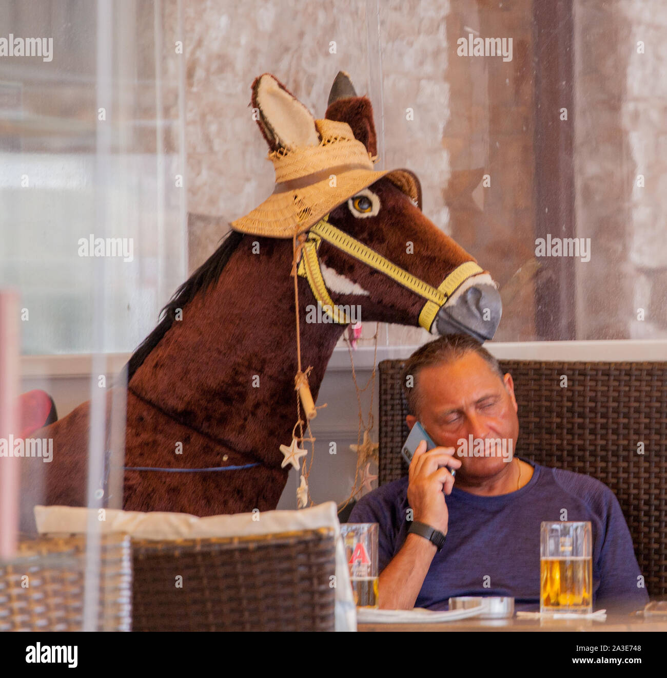 Man talking on mobile phone potable à taverne grecque à côté d'un âne en peluche modèle dans un chapeau de paille Banque D'Images