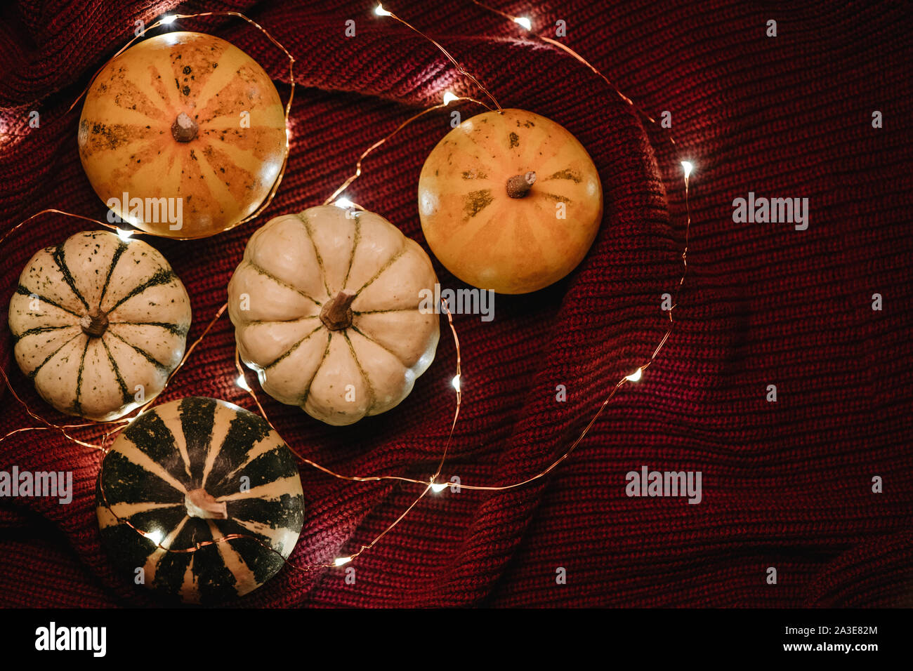 Citrouilles décoratives et garland sur chandail rouge foncé. Concept d'automne. Banque D'Images