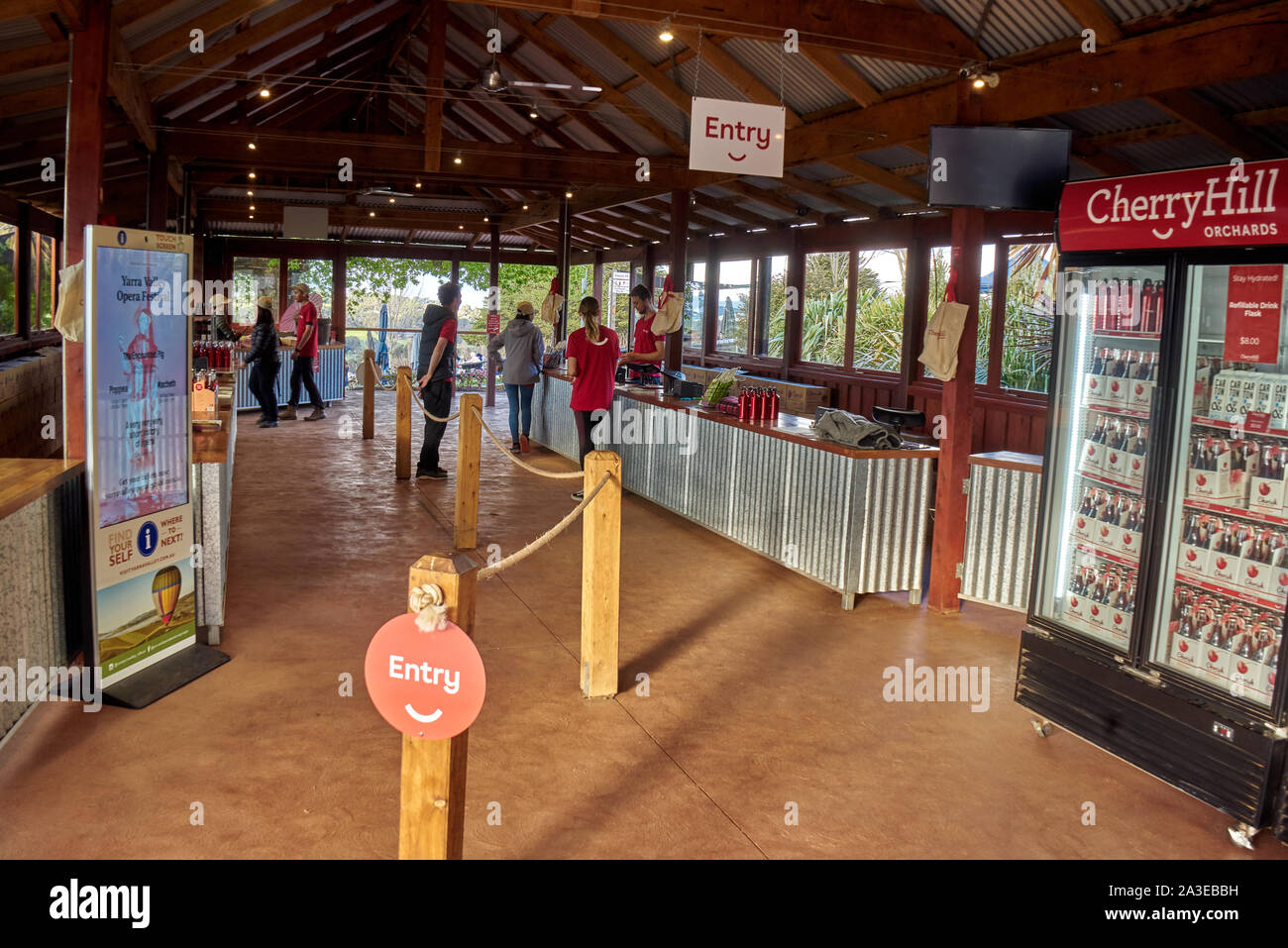 Vergers de cerisiers au printemps, à l'extérieur de Wandin East, Melbourne, Australie Banque D'Images