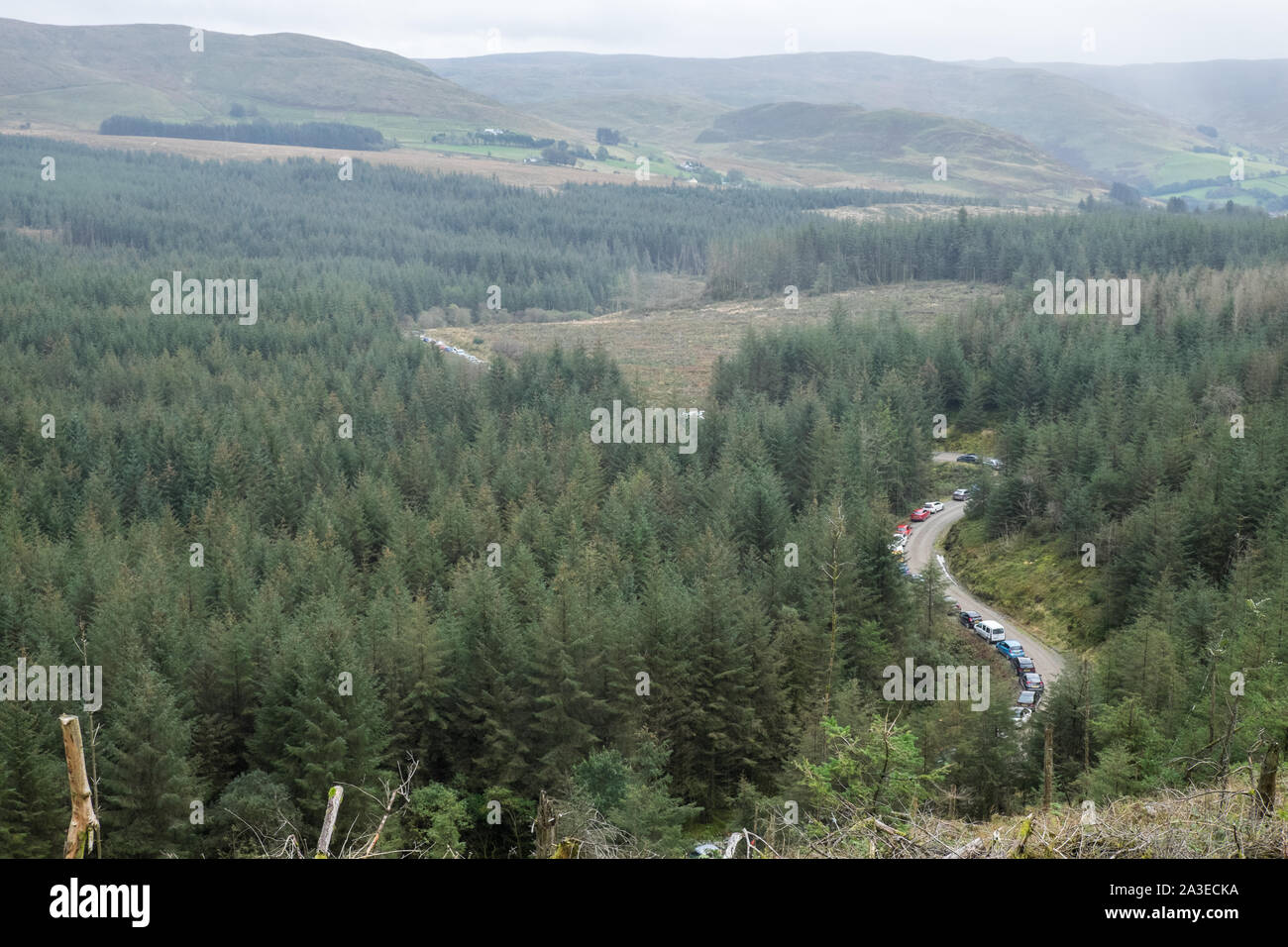 Ligne,lignes,de,Spectateurs Spectateurs,voitures,garé,jusqu,en,single,fichier,serpent,à travers la forêt,Welsh hills,Myherin,World Rally Championship, WRC Rallye automobile GO au Pays de Galles,Welsh,UK, Banque D'Images