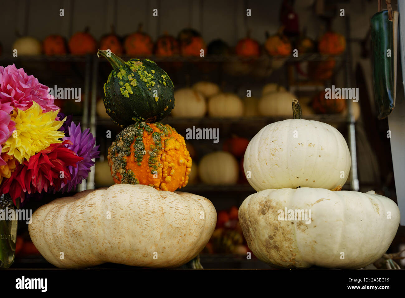 La récolte d'automne sur l'affichage à un marché agricole local. Banque D'Images