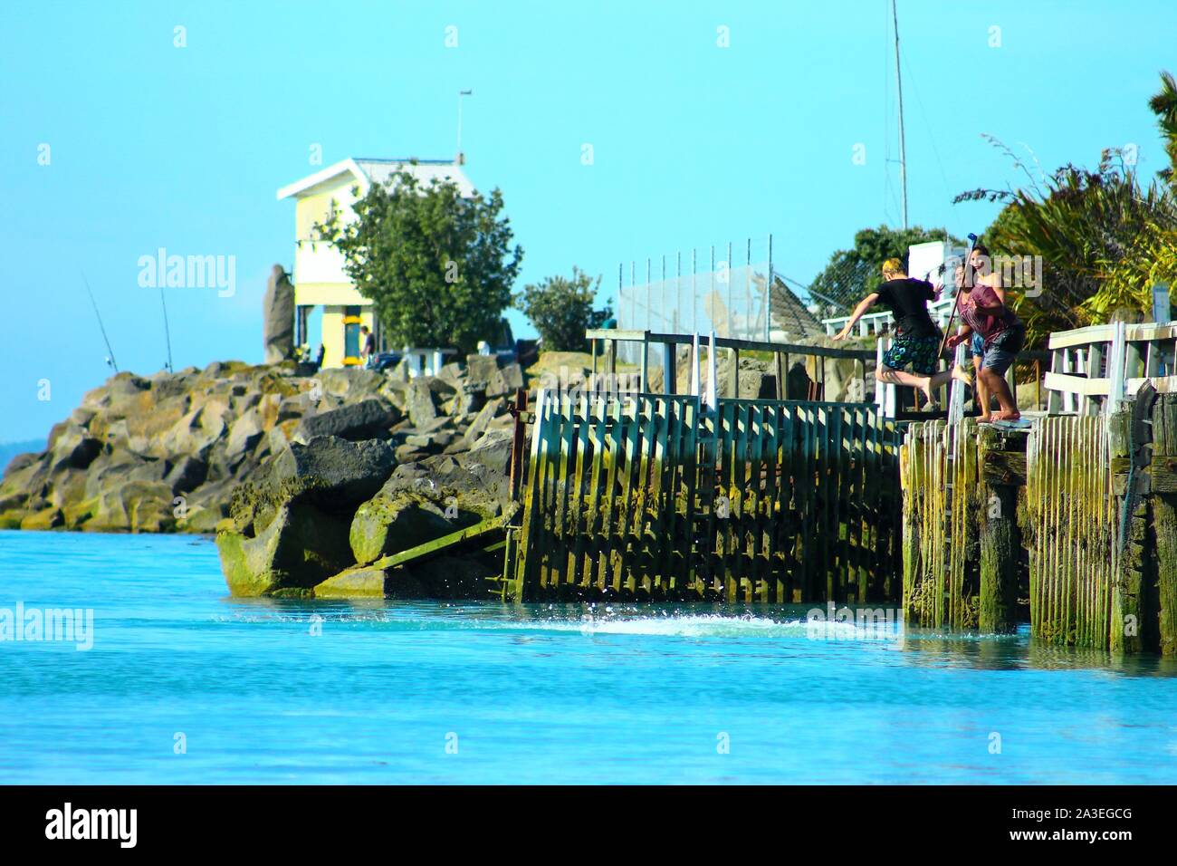 Pier Jumping-Kiwi Été Banque D'Images