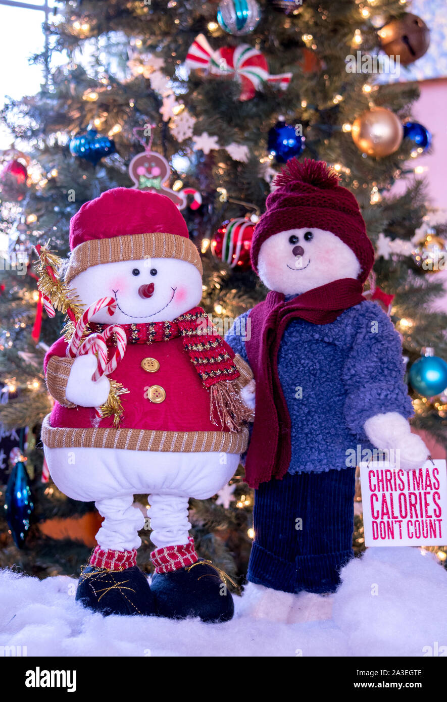 Snowman lunatique couple sont chaudement habillés pour les fêtes, et tenir un mignon signe et des cannes de bonbon sucré Banque D'Images