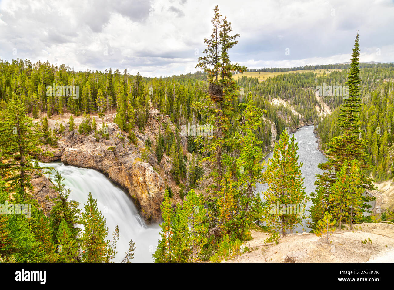 Upper Falls qui se jettent dans la rivière Yellowstone dans le Parc National de Yellowstone, Wyoming, USA. Banque D'Images