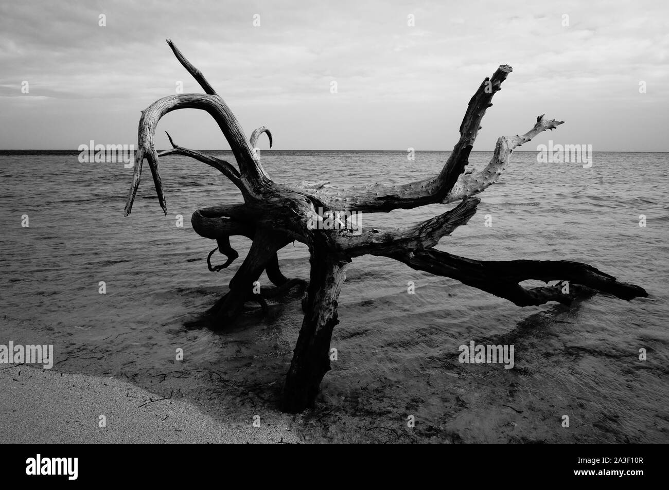 500px Photo ID : 76553781 - une vue magnifique à partir de la région du Pacifique Sud, la Nouvelle-Calédonie une magnifique vue du Pacifique Sud, Nouvelle-Calédonie Banque D'Images