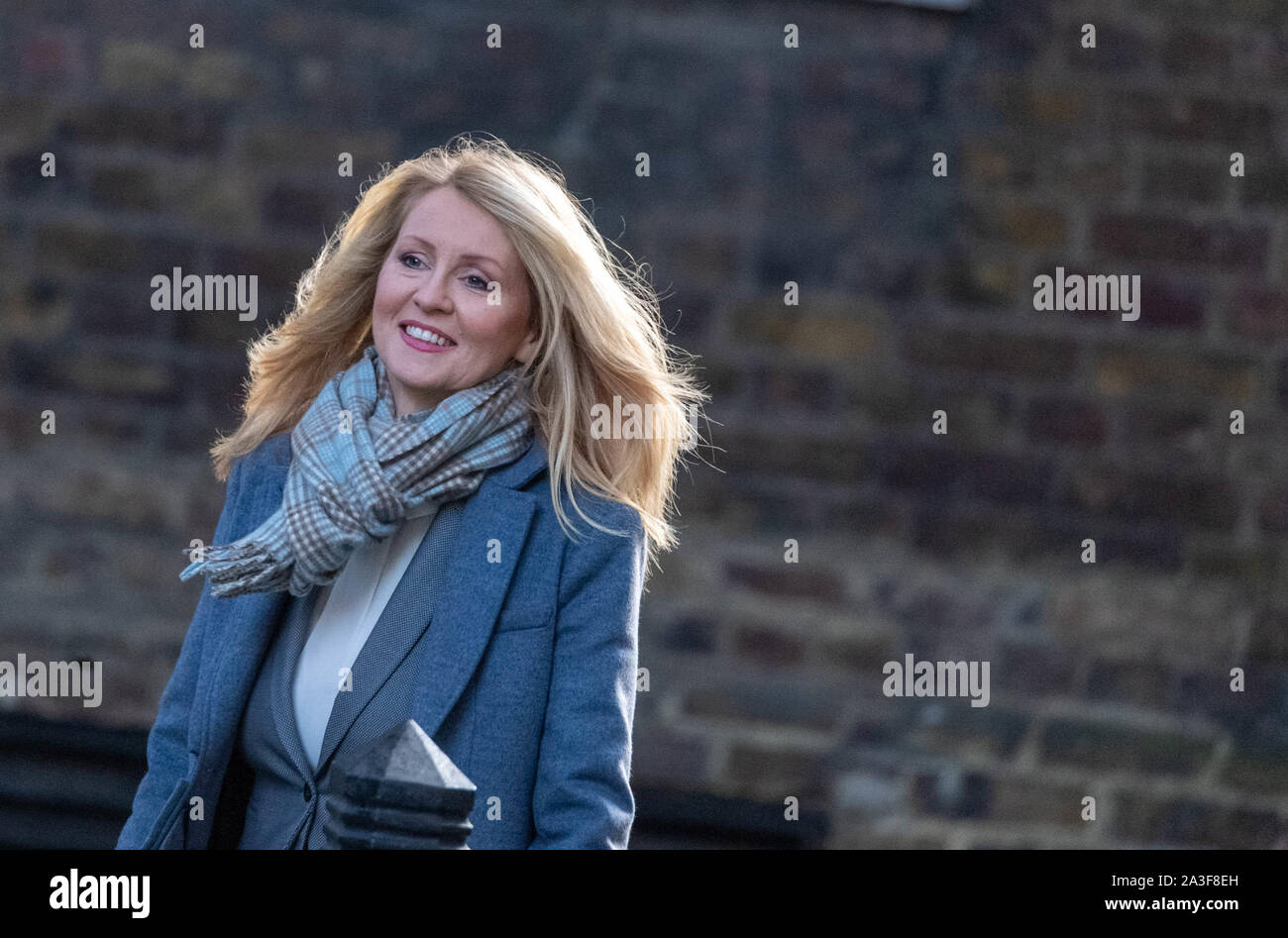 Octobre 2019 London UK 8e, Esther McVey MP Le ministre du Logement, arrive à une réunion du Cabinet au 10 Downing Street, London Credit Ian Davidson/Alamy Live News Banque D'Images