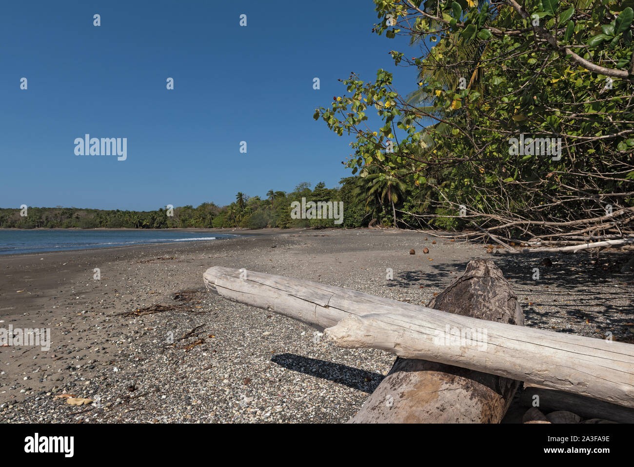 Belle plage de l'île cebaco panama Banque D'Images