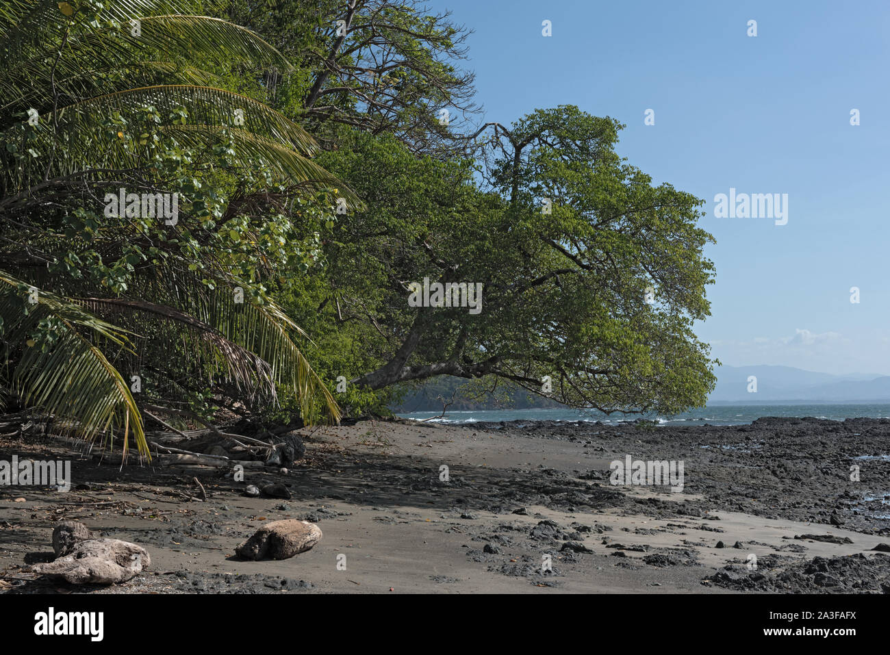 Belle plage de l'île cebaco panama Banque D'Images