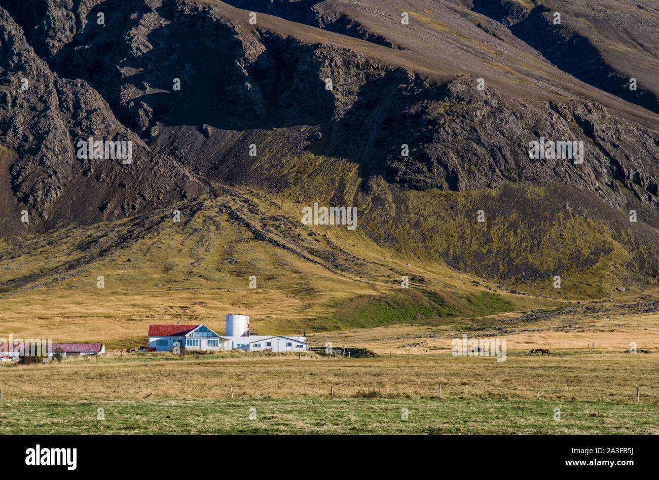 Ferme celandique près de Grundarhverti juste au nord-ouest de Reykjavic sous les montagnes de roches volcaniques, un paysage islandais typique. Banque D'Images