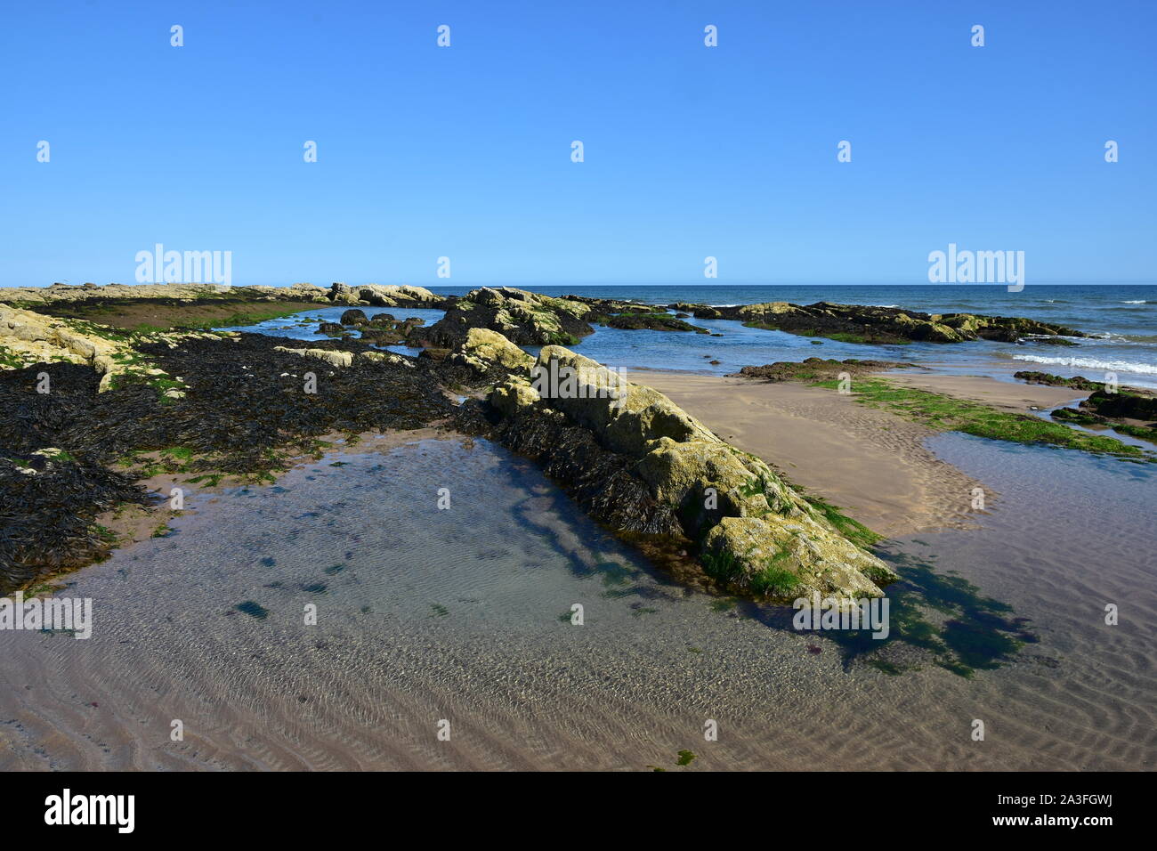 Des rochers, à Cocklawburn Beach, Northumberland Banque D'Images