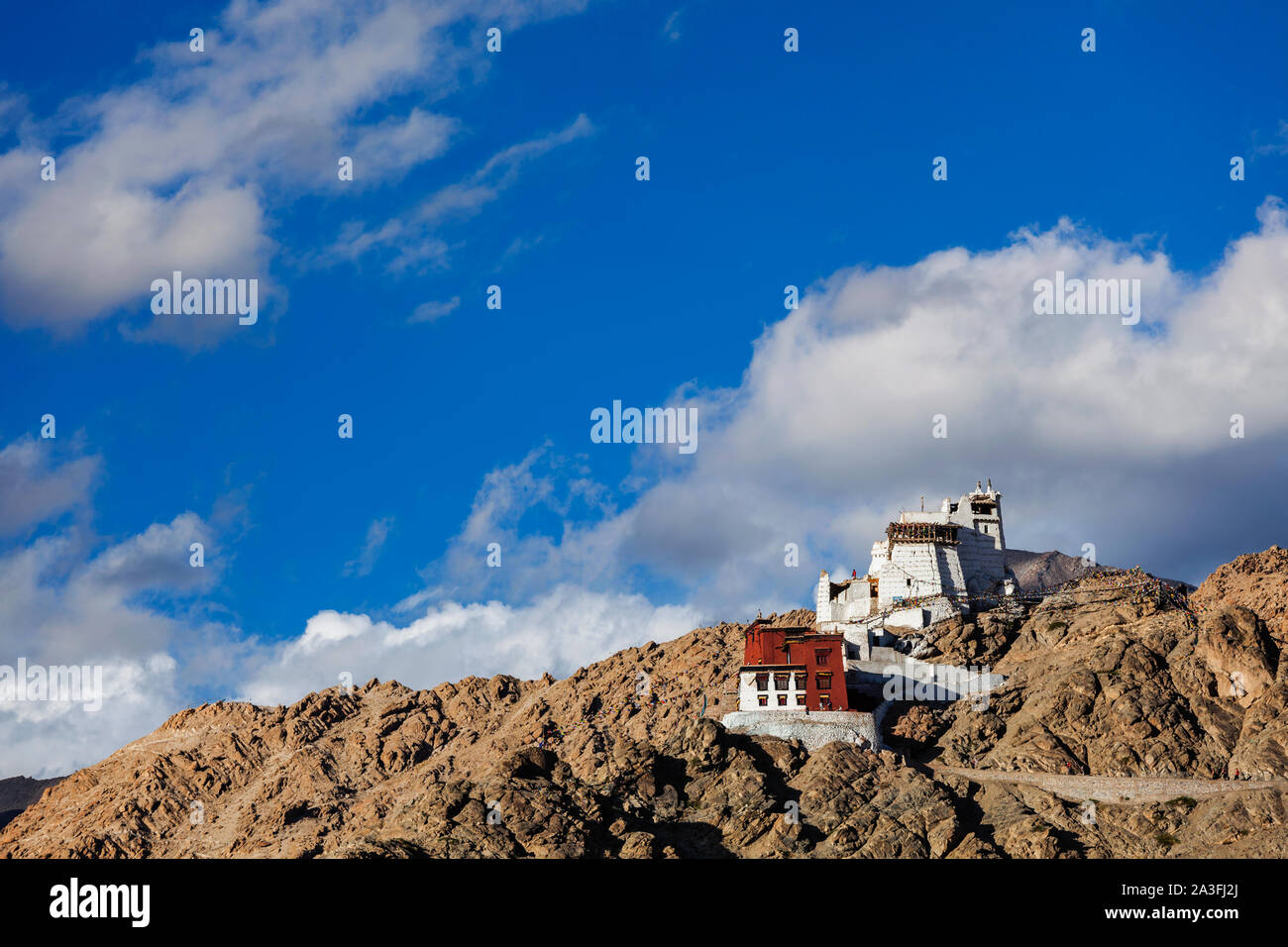 Namgyal Tsemo gompa et fort. Leh, Inde Banque D'Images