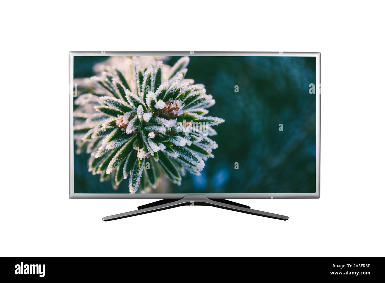 Moniteur ou TV 4K avec une macro image d'une branche d'arbre de Noël couvert de givre isolé sur fond blanc Banque D'Images