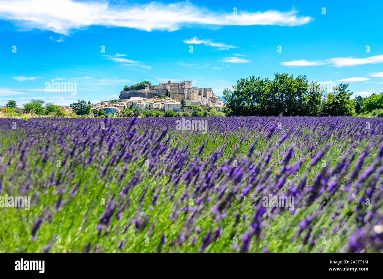 Champs de lavande au village de Gordes, une petite ville médiévale en Provence, destination de voyage en France. Banque D'Images