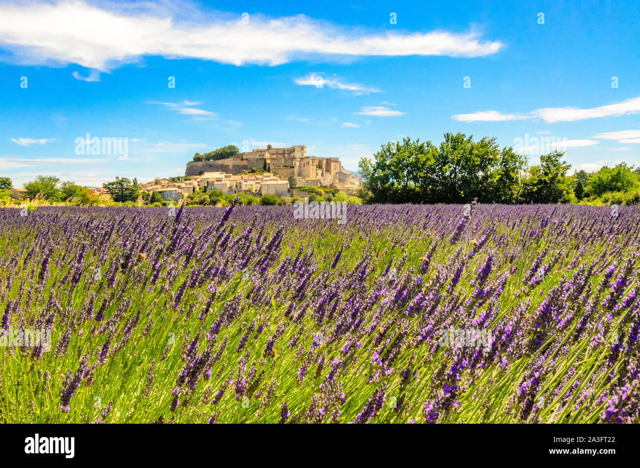 Champs de lavande au village de Gordes, une petite ville médiévale en Provence, destination de voyage en France. Banque D'Images
