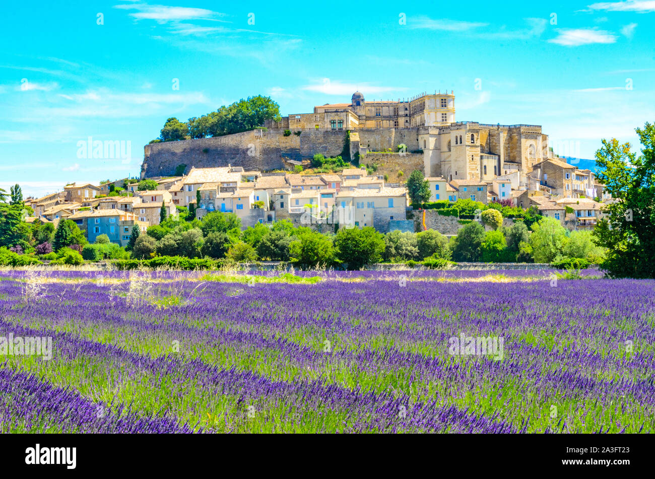 Champs de lavande au village de Gordes, une petite ville médiévale en Provence, destination de voyage en France. Banque D'Images