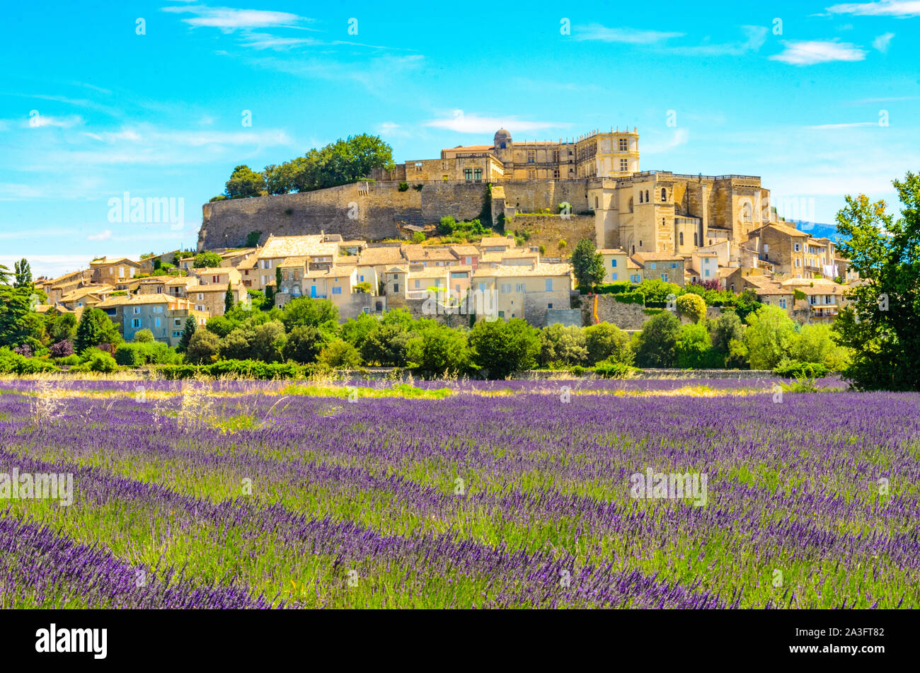 Champs de lavande au village de Gordes, une petite ville médiévale en Provence, destination de voyage en France. Banque D'Images