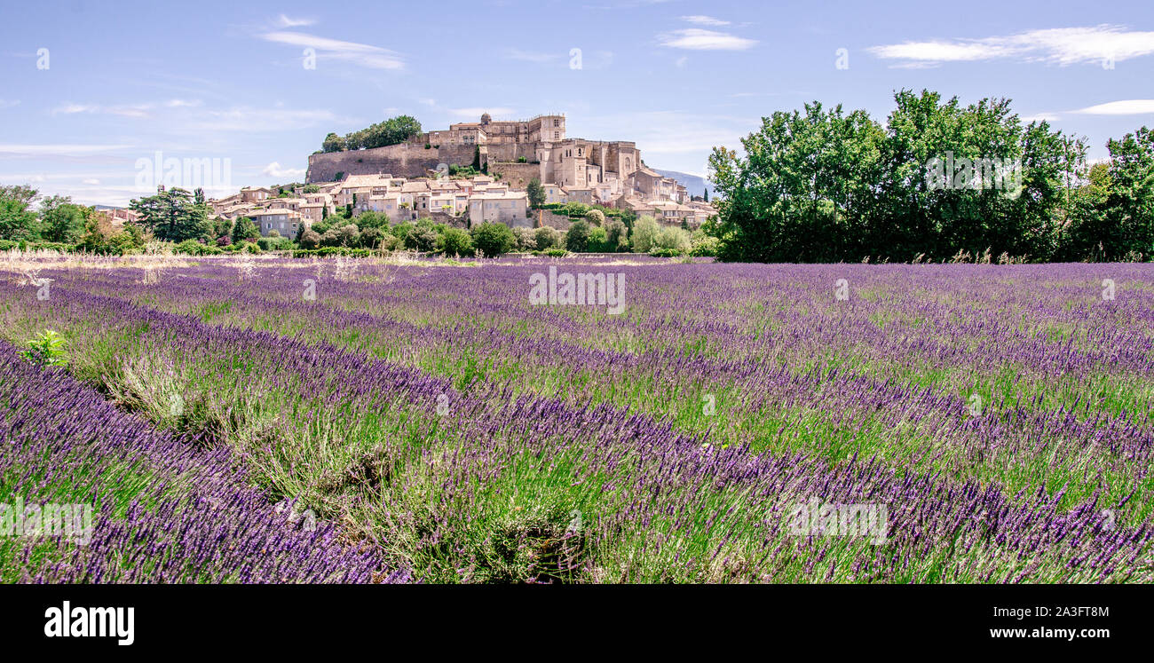 Champs de lavande au village de Gordes, une petite ville médiévale en Provence, destination de voyage en France. Banque D'Images