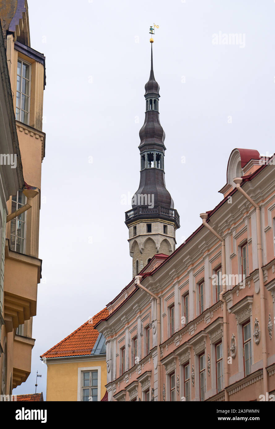 Avis de l'hôtel de ville avec de vieux Thomas à Tallinn. Banque D'Images
