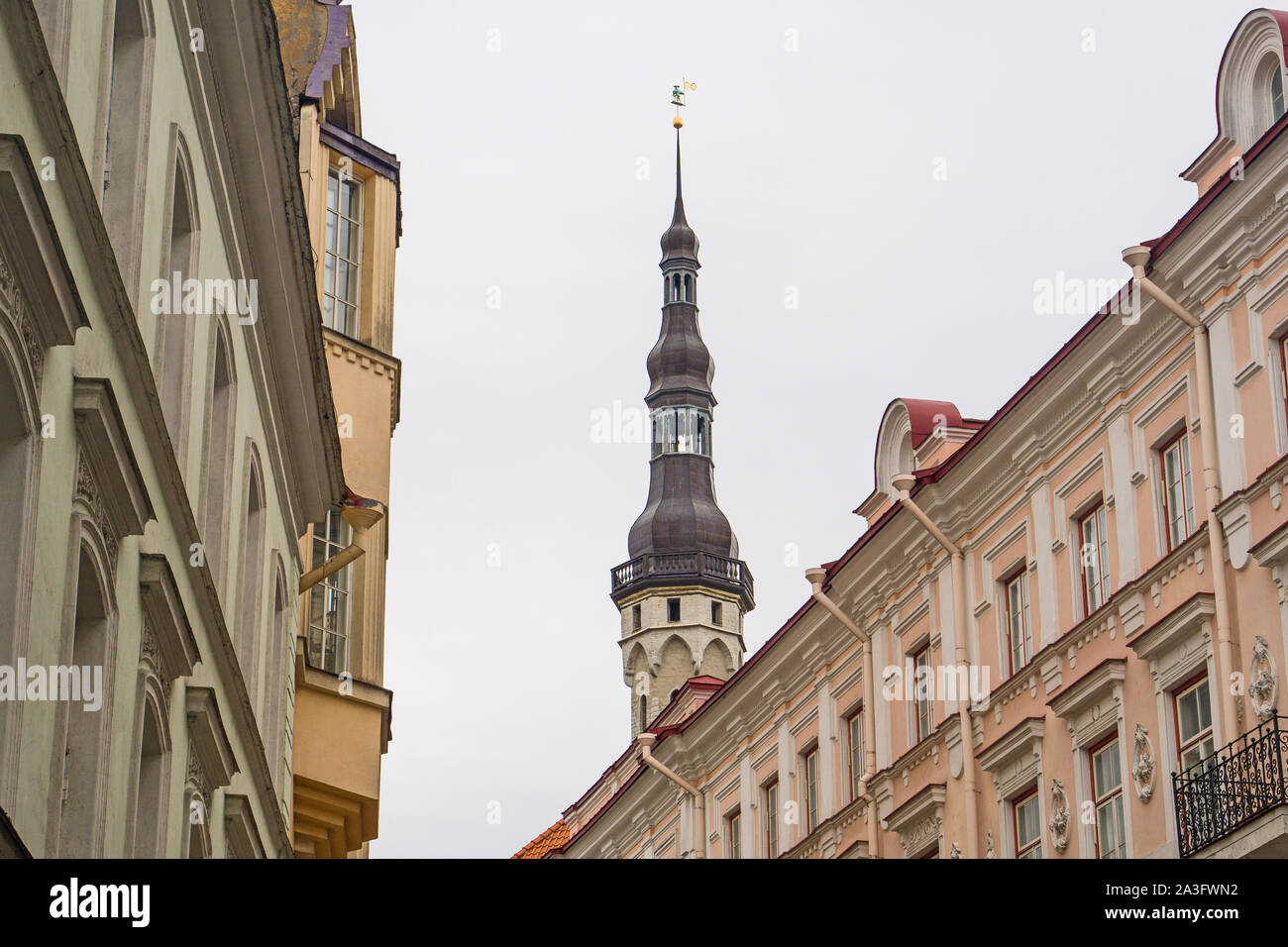 Avis de l'hôtel de ville avec de vieux Thomas à Tallinn. Banque D'Images