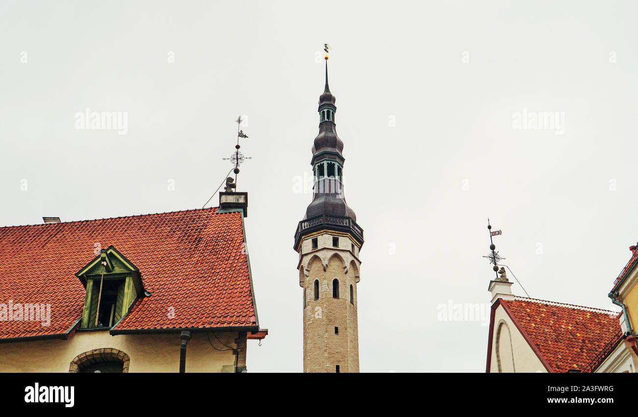 Avis de l'hôtel de ville avec de vieux Thomas à Tallinn. Banque D'Images