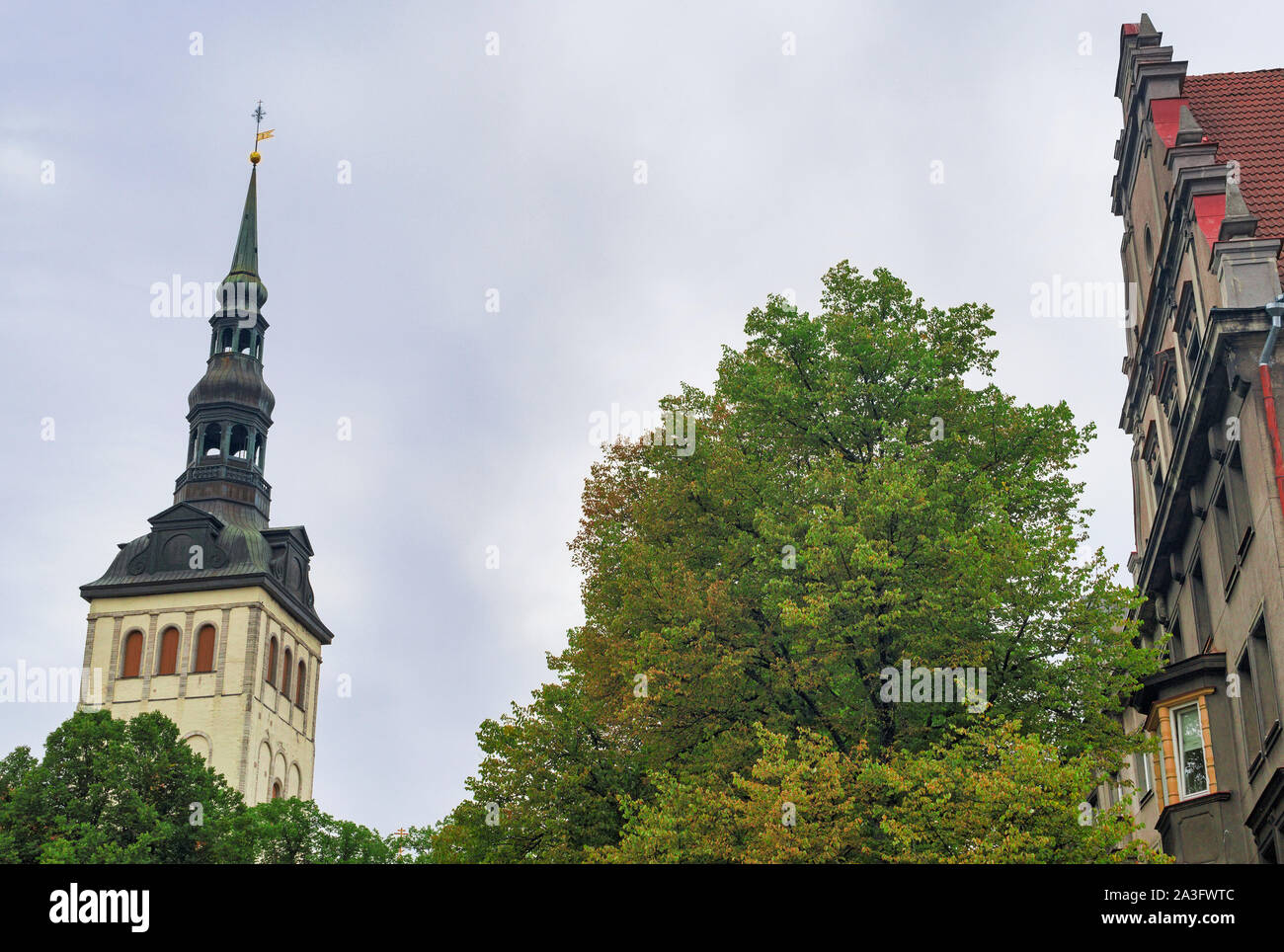 Vue de l'église Saint Nicolas à Tallinn. Banque D'Images