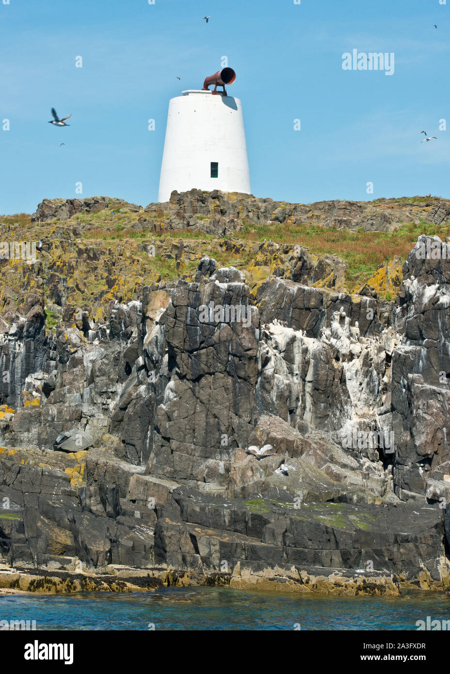 Corne de brume sur l'île de mai clifftop. Fife, Scotland Banque D'Images