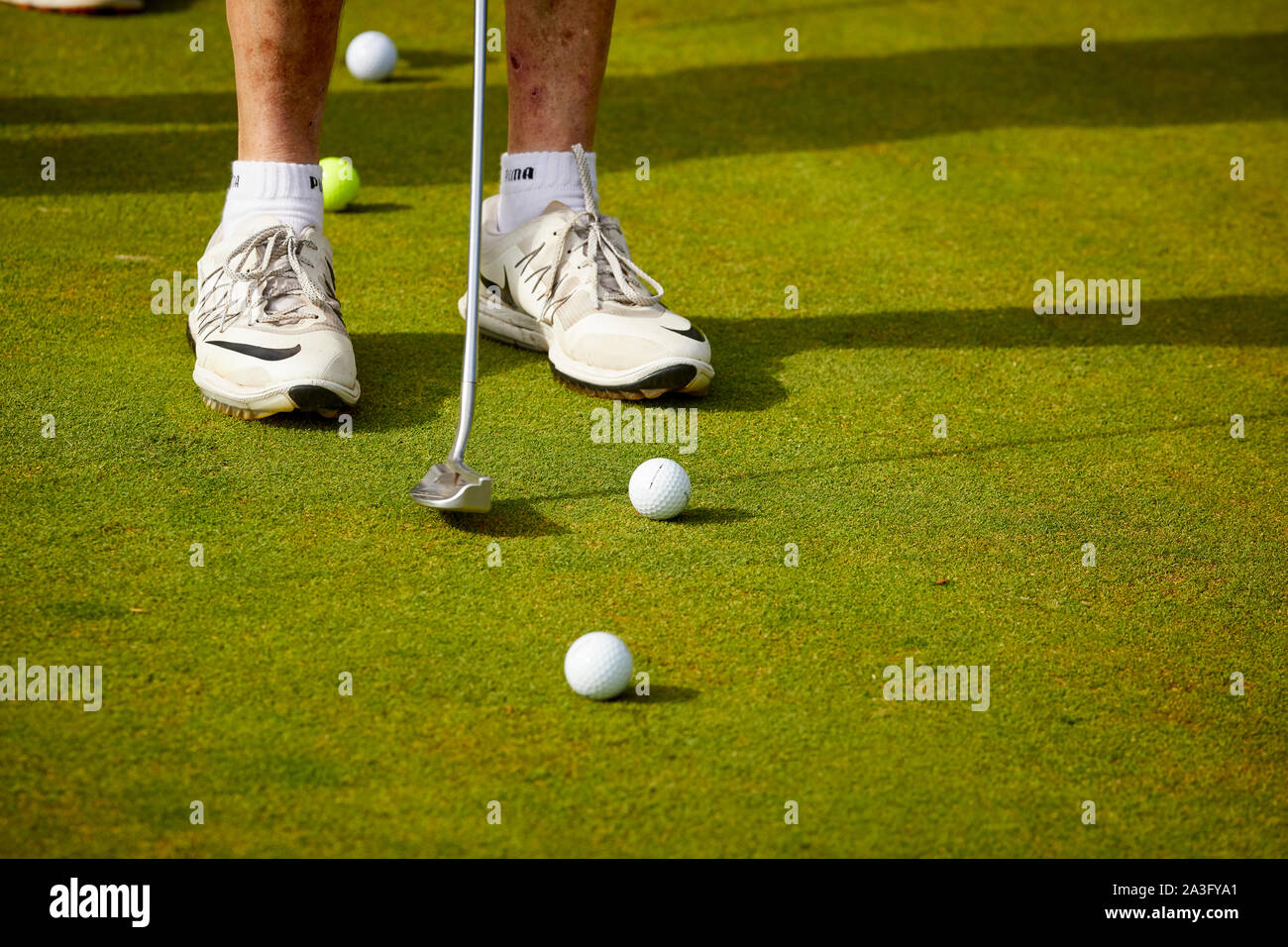 Golf jouer au golf sur le putting practice green Banque D'Images