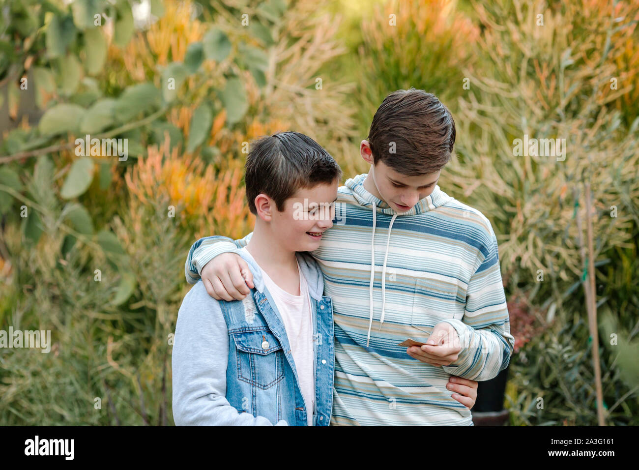 Hugging smiling clean-cut brothers avec fond de plantes indigènes Banque D'Images