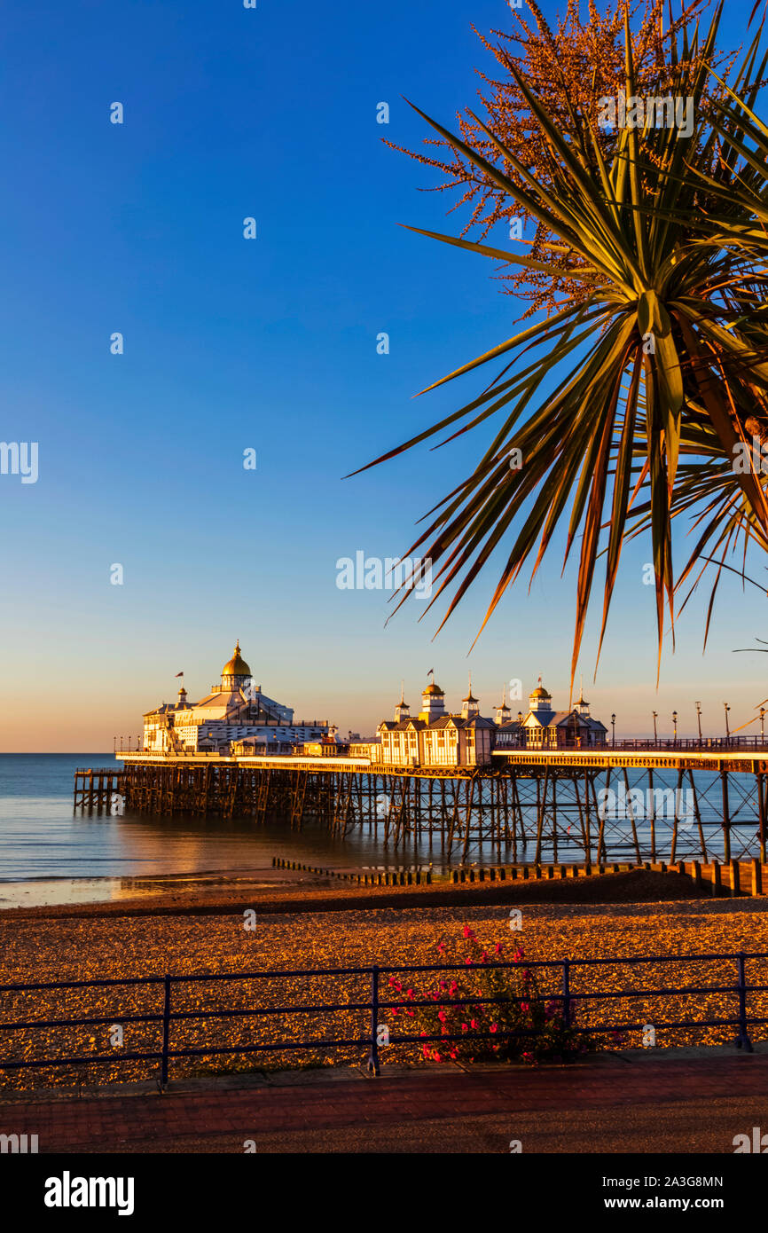 L'Angleterre, l'East Sussex, Eastbourne, Début de la lumière du matin sur la jetée d'Eastbourne et Eastbourne Beach Banque D'Images