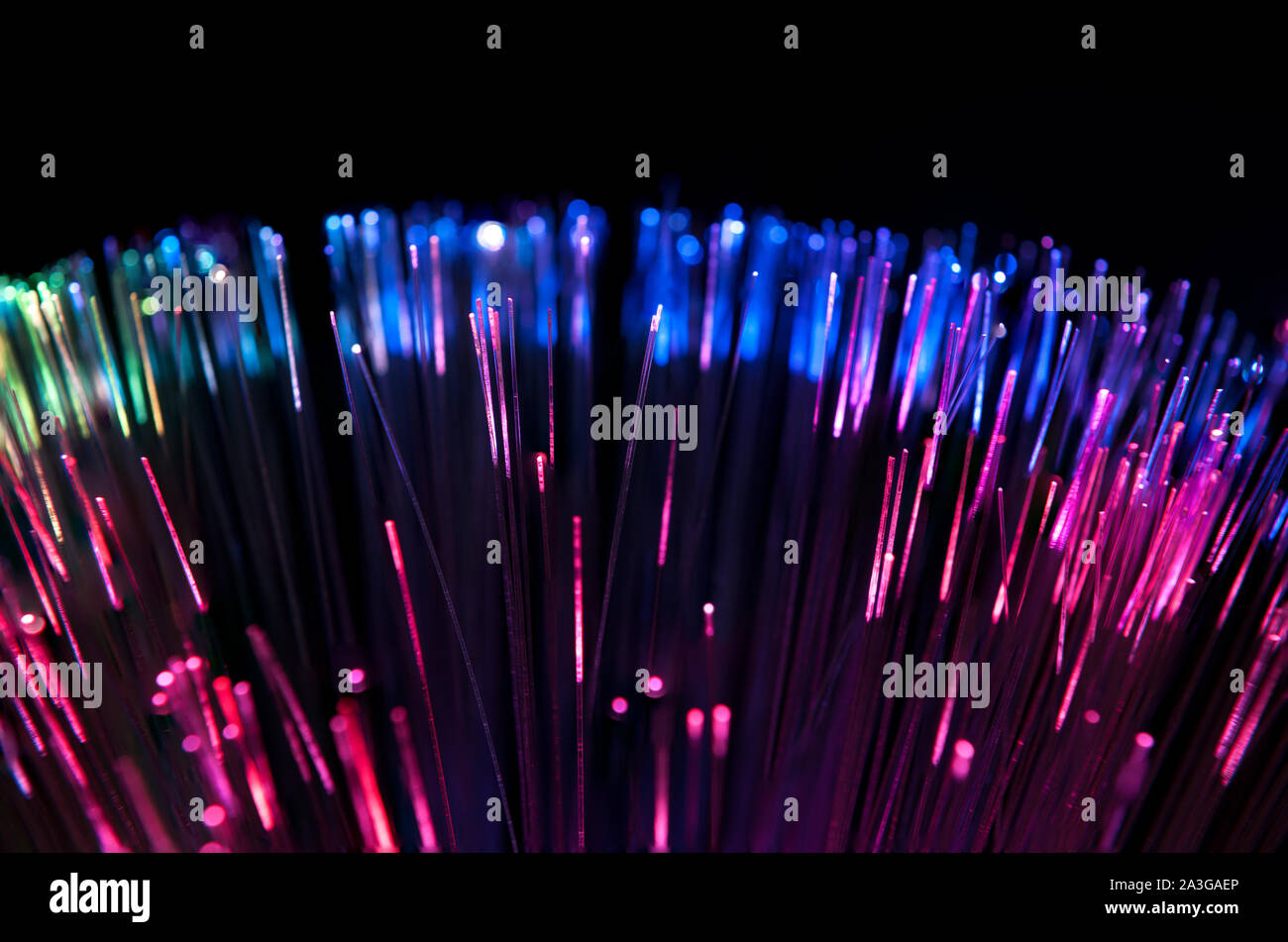 Extrémités de câbles de fibre optique permet de transmettre des données dans le secteur informatique et ligne téléphonique pour réseau à large bande Banque D'Images