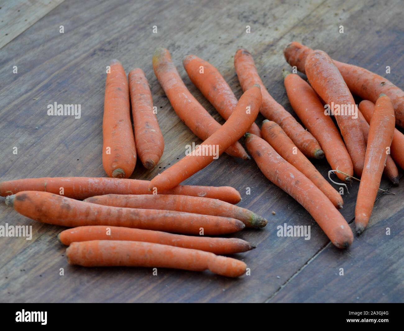 Carots, Daucus carota subsp. sativus Banque D'Images