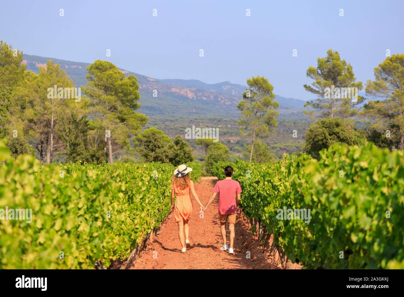 La France, Var, La Motte, à pied d'un jeune couple dans le vignoble AOP C ?tes de Provence du ch ?teau des Demoiselles Banque D'Images