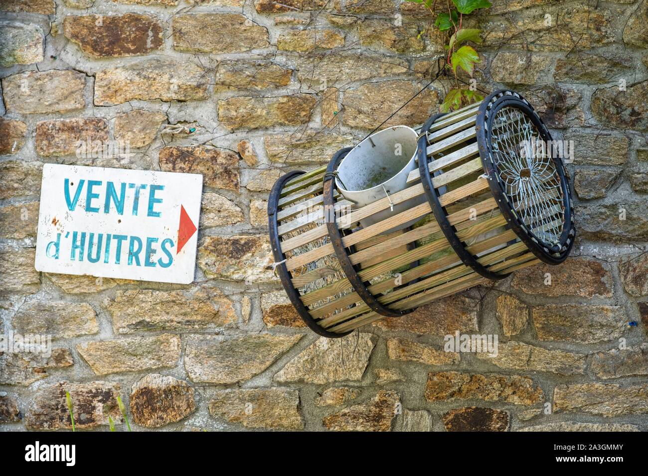 La France, Finistère, Riec-sur-Belon, Belon port sur la rivière Belon, huîtres vente Banque D'Images La France, Finistère, Riec-sur-Belon, Belon port sur la rivière Belon, huîtres vente Banque D'Images