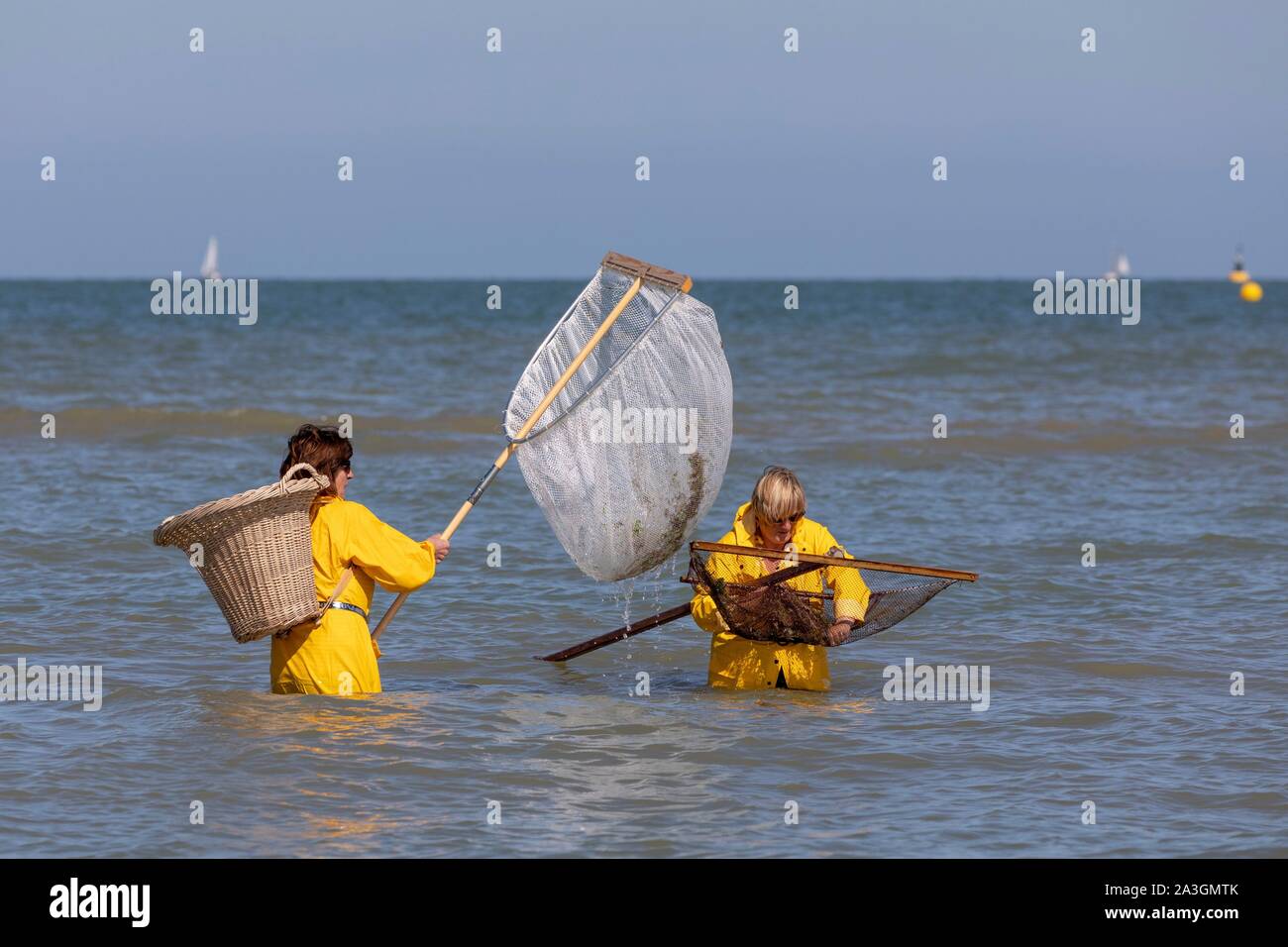 Belgique, Flandre occidentale province, Koksijde, Oostduinkerke, pêche à la crevette Banque D'Images