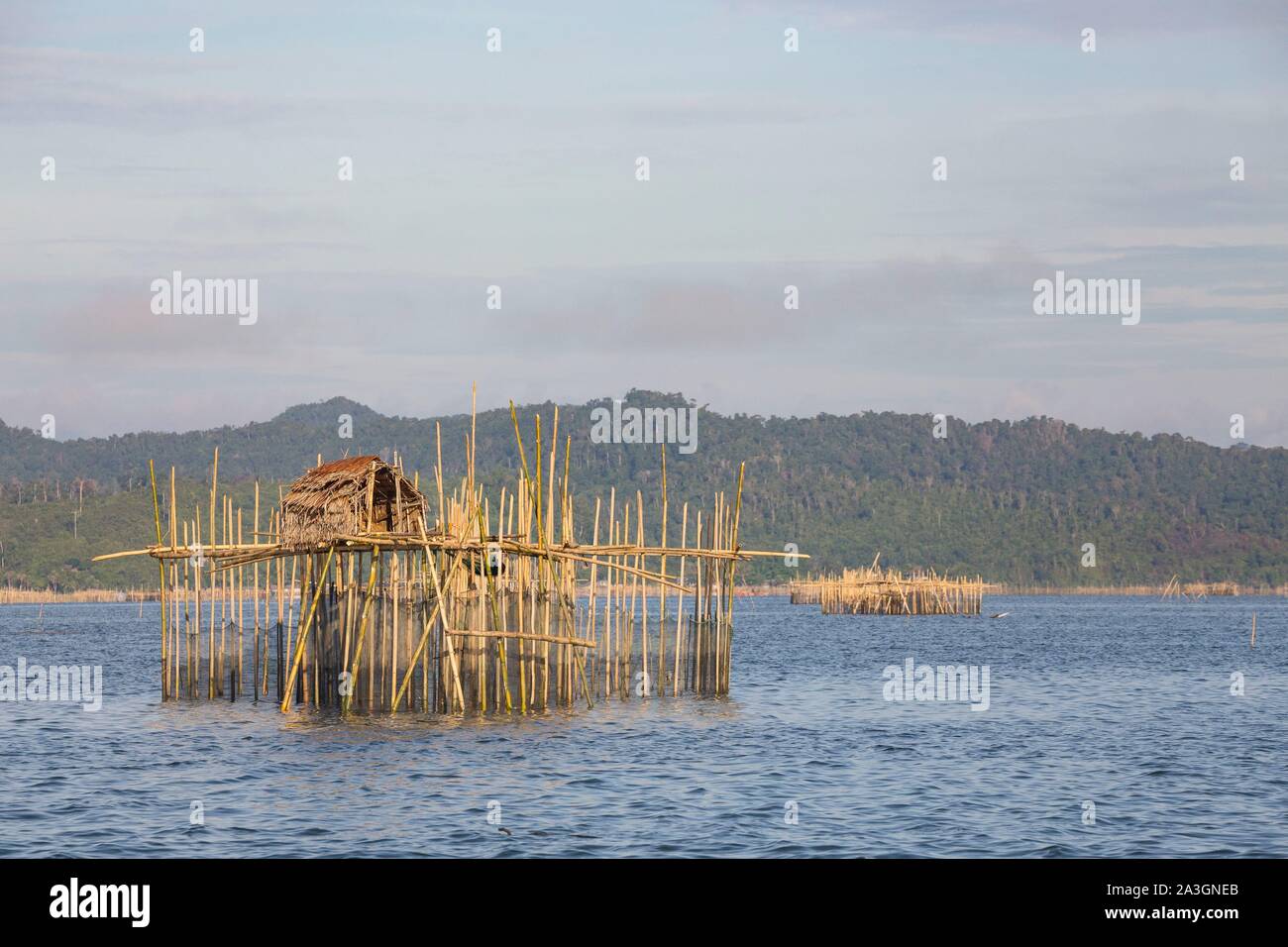 Philippines, Palawan, Malampaya Sound paysages terrestres et marins protégés, les engins de pêche typique avec une structure en bambou le maintien des filets de poisson Banque D'Images