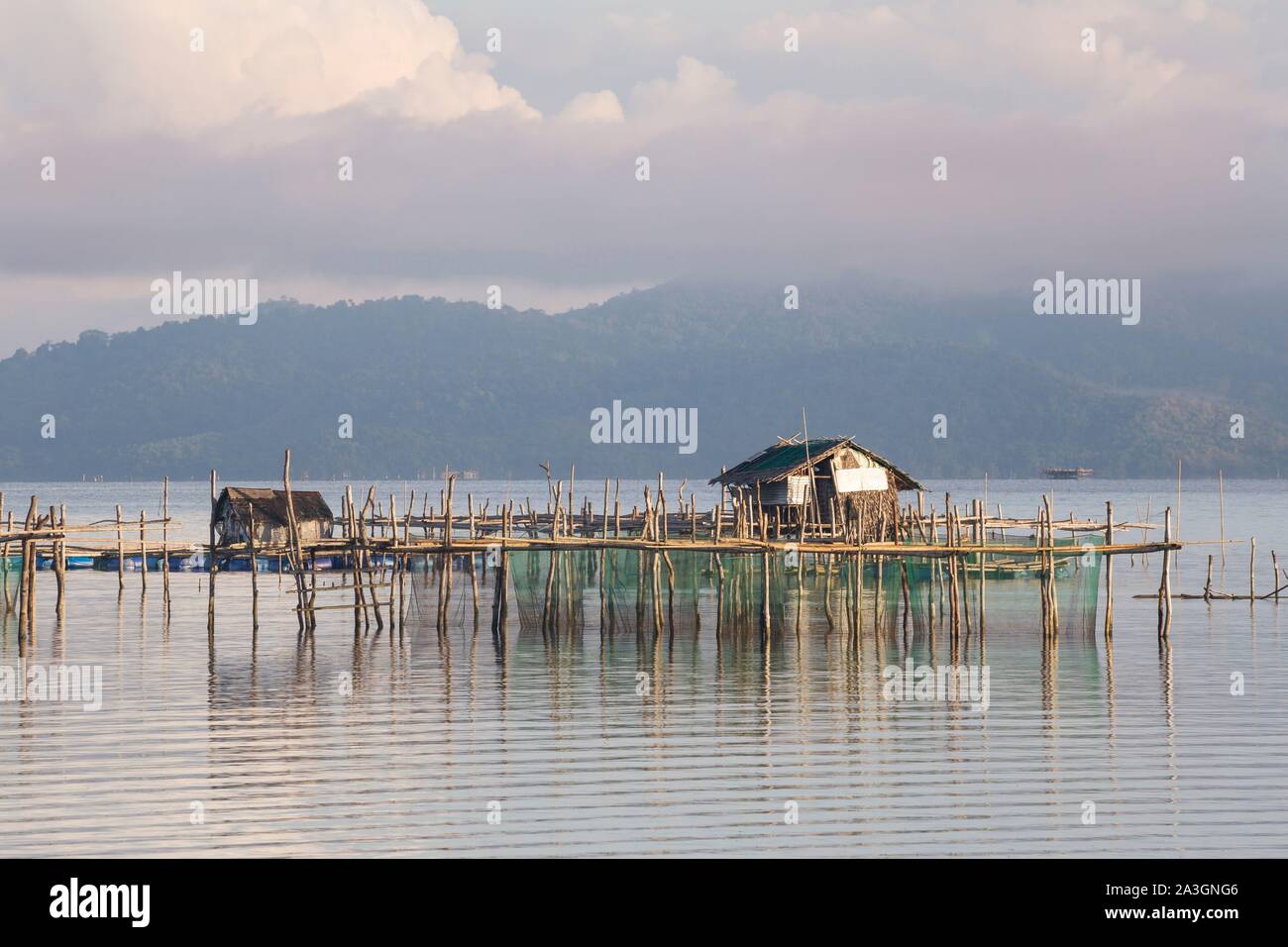 Philippines, Palawan, Malampaya Sound paysages terrestres et marins protégés, les engins de pêche typique avec une structure en bambou le maintien des filets de poisson Banque D'Images