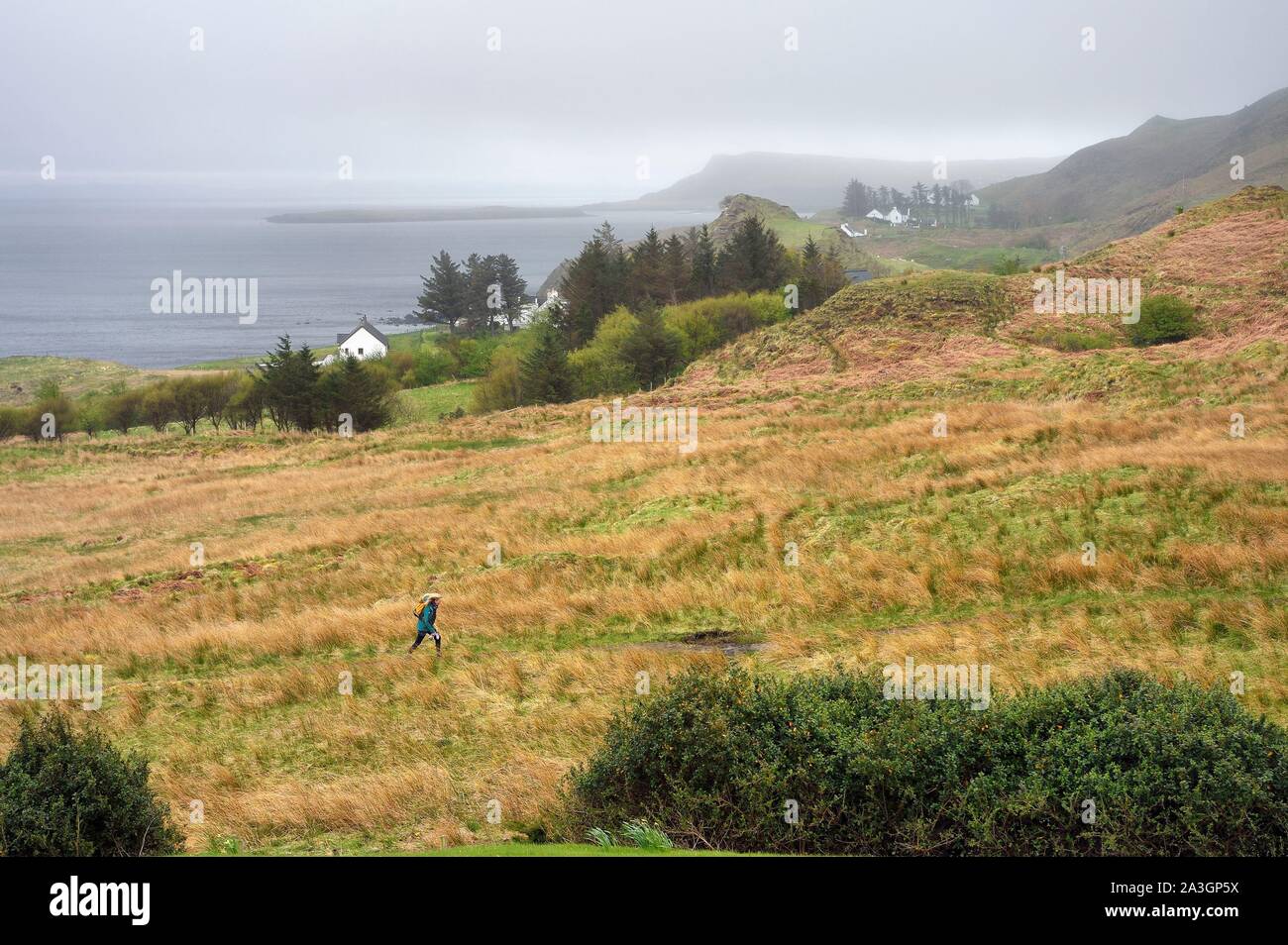 Royaume-uni, Ecosse, Highlands, Hébrides, île de Skye, la côte de Flodigarry Banque D'Images