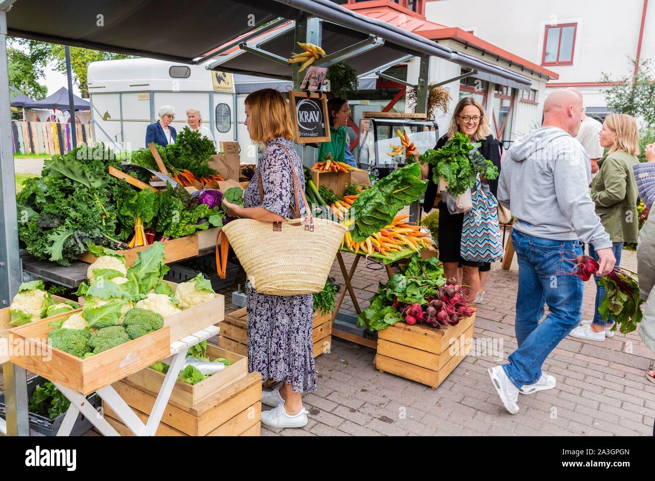 La Suède, dans le comté de Vastra Sweden Hokerum Ulricehamn, hameau, Rochat rapport sur la famille, le jour du marché Banque D'Images