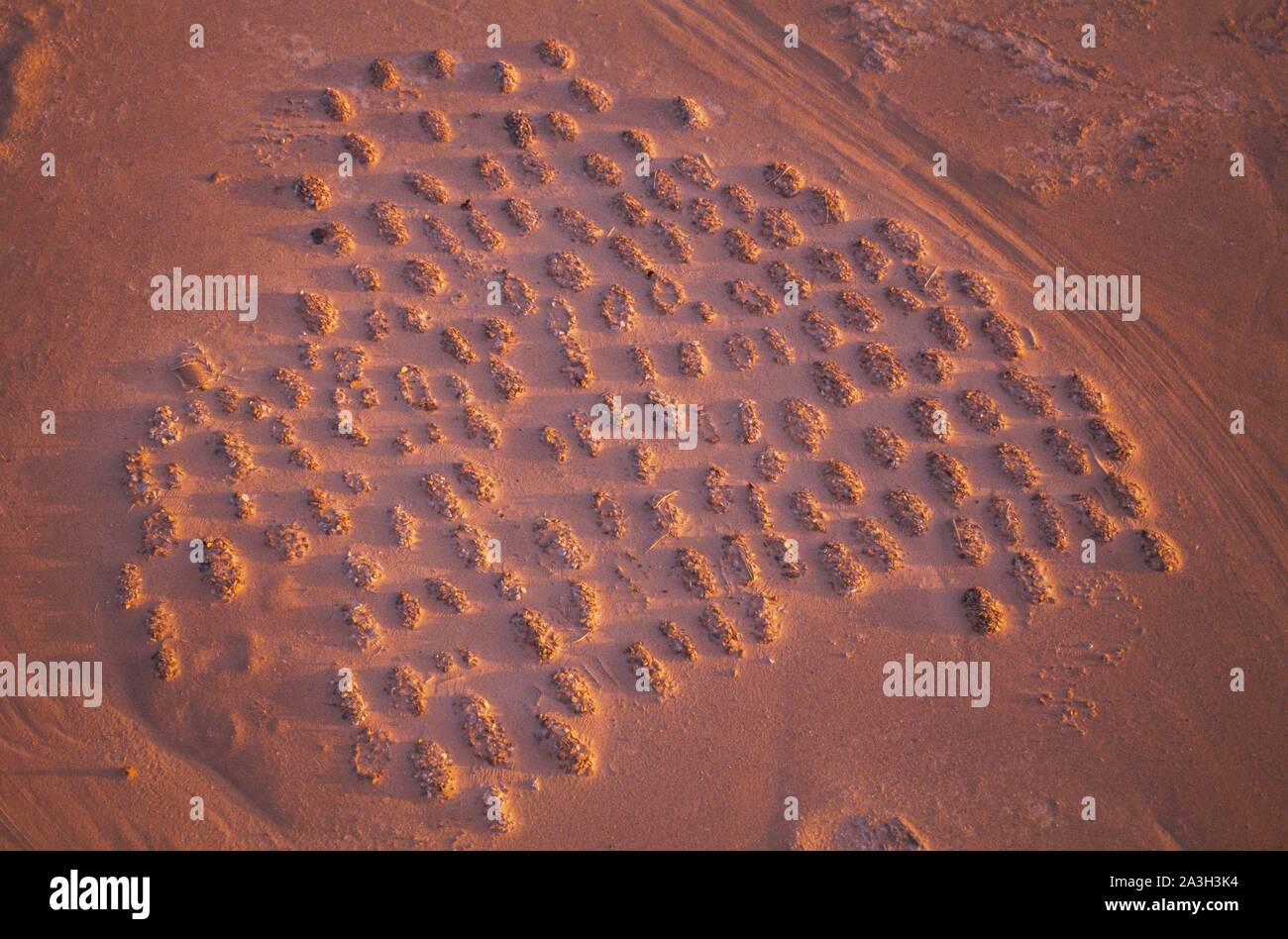 Le Tchad, Tibesti, Sahara, tombes du ciel, Zouar (vue aérienne) Banque D'Images