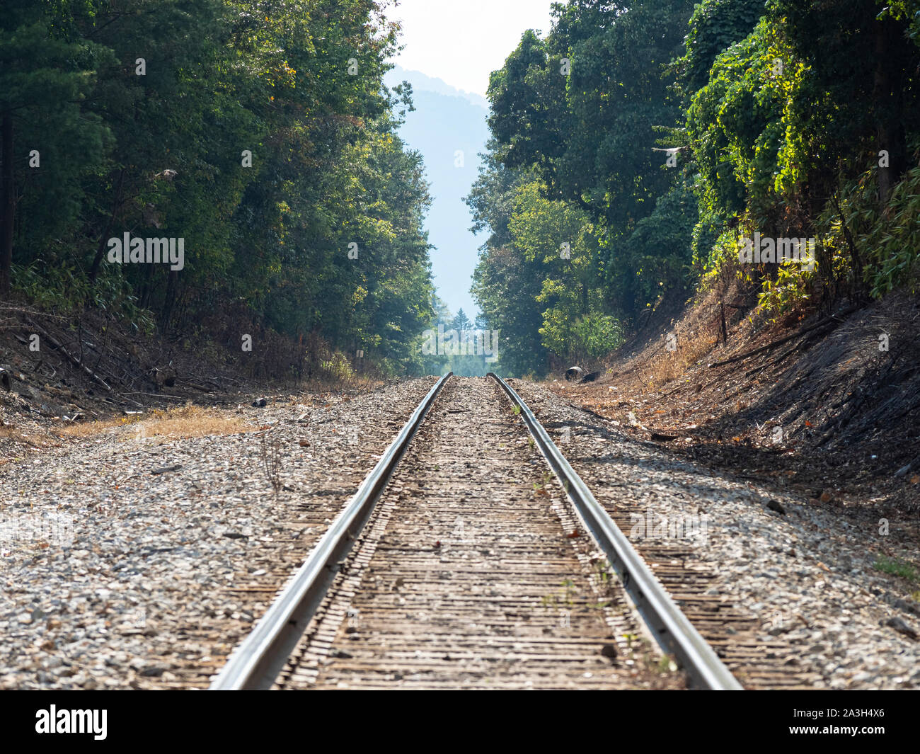 Des voies de chemin de fer menant au loin dans la distance Banque D'Images