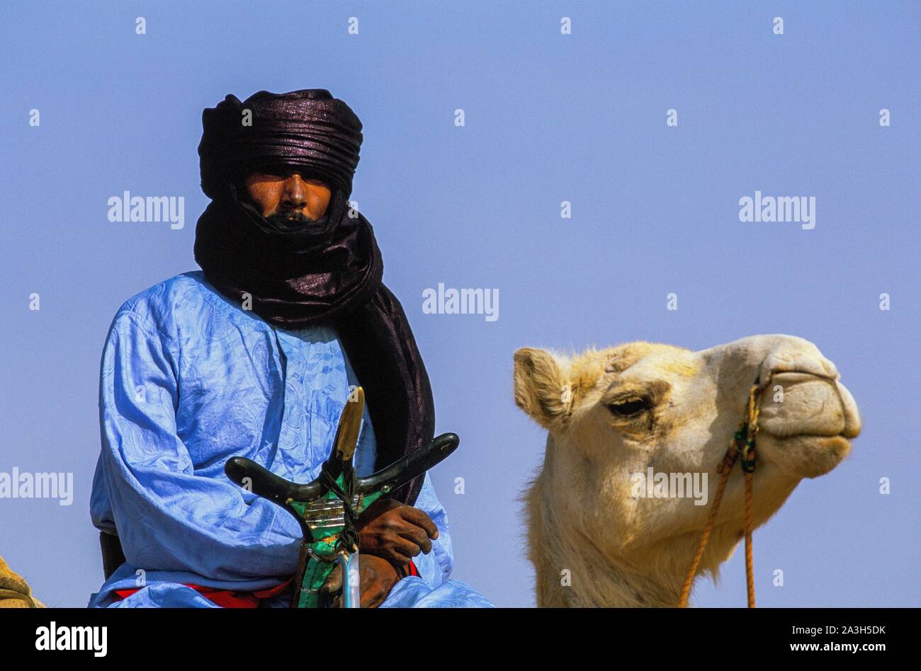L'Algérie, Sahara, Tamanrasset, touaregs sur leurs chameaux pour la course Tafsit Banque D'Images