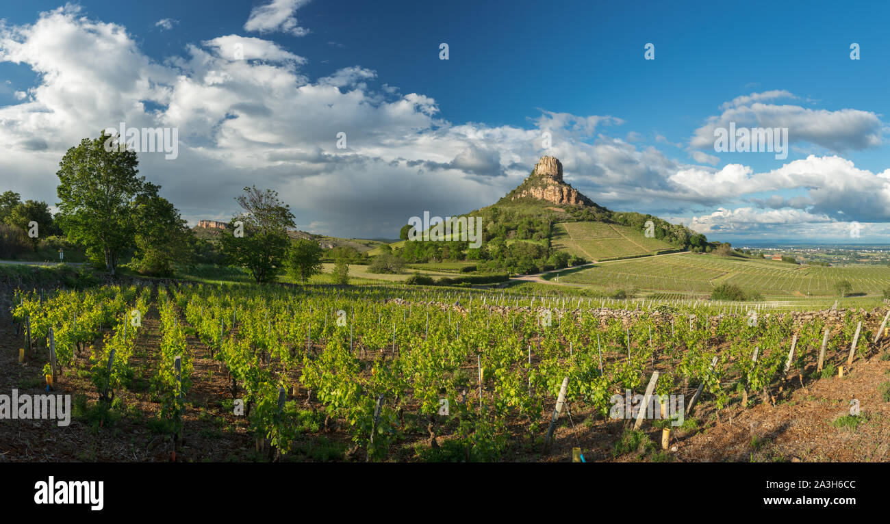 La roche de Solutré, Solutré-Pouilly, Bourgogne, France Banque D'Images