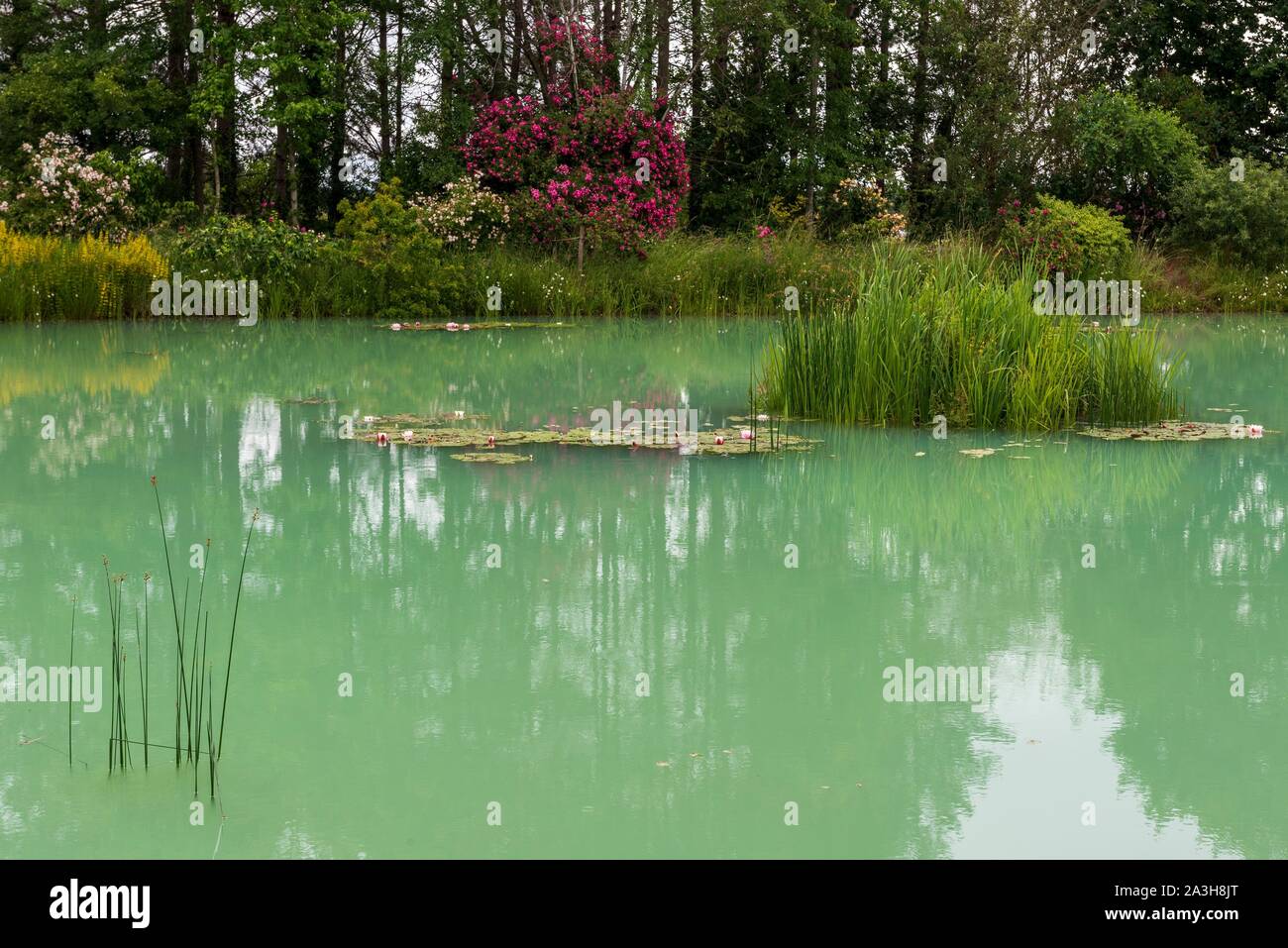 France, Loiret, Combreux, Parc du manoir de la Javeliere (Javeliere Manor House Park), jardin et lac Banque D'Images France, Loiret, Combreux, Parc du manoir de la Javeliere (Javeliere Manor House Park), jardin et lac Banque D'Images