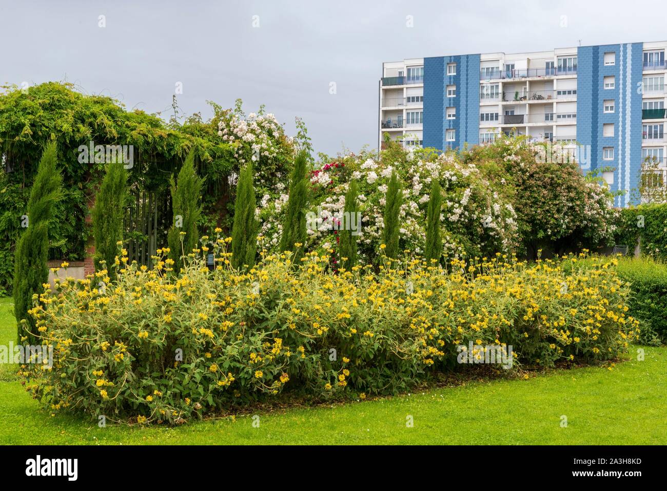 France, Loiret, Orléans, Parc floral de la source, jardin Banque D'Images France, Loiret, Orléans, Parc floral de la source, jardin Banque D'Images
