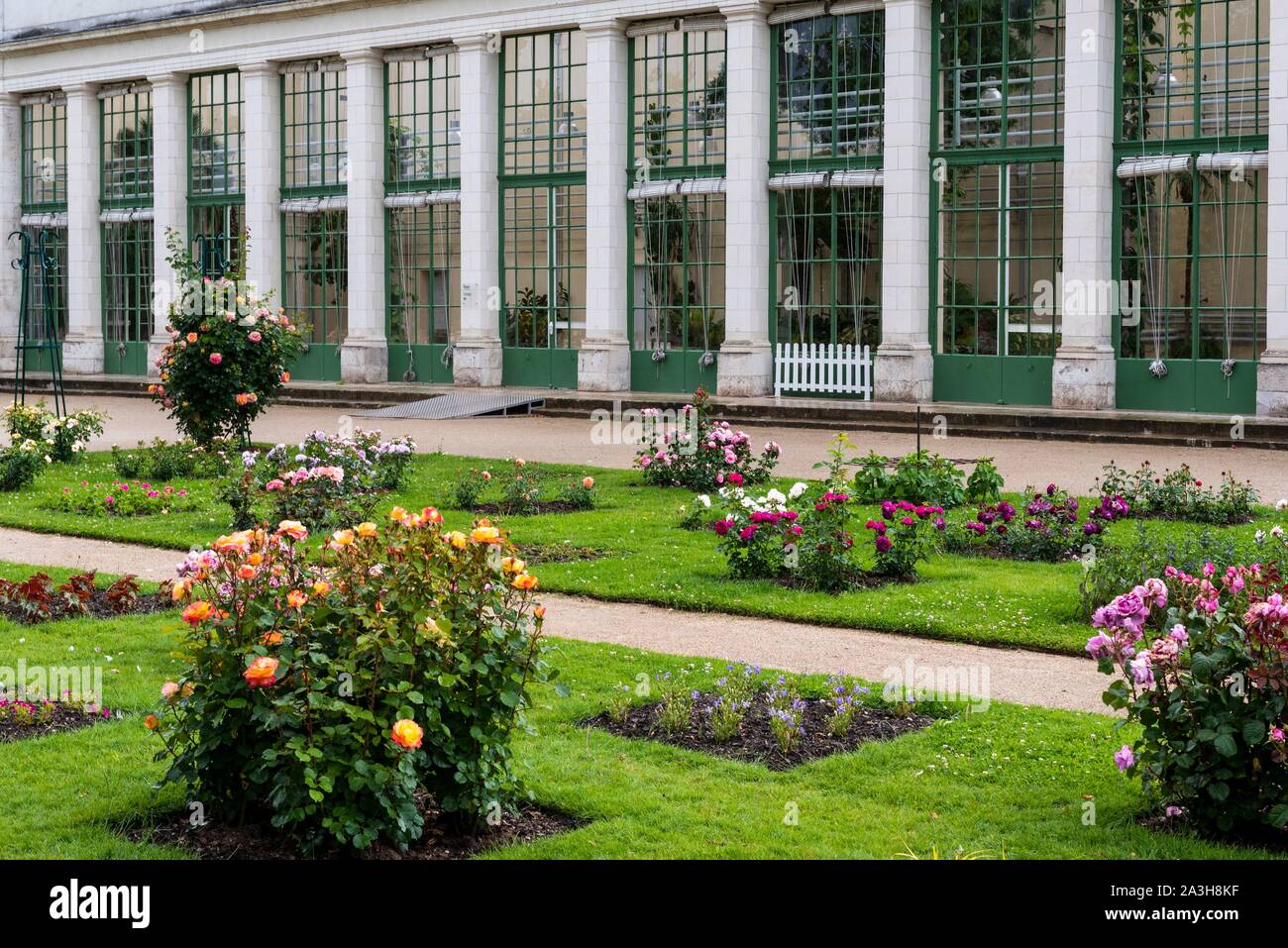 France, Loiret, Orléans, Parc floral de la source, jardin des roses Banque D'Images France, Loiret, Orléans, Parc floral de la source, jardin des roses Banque D'Images